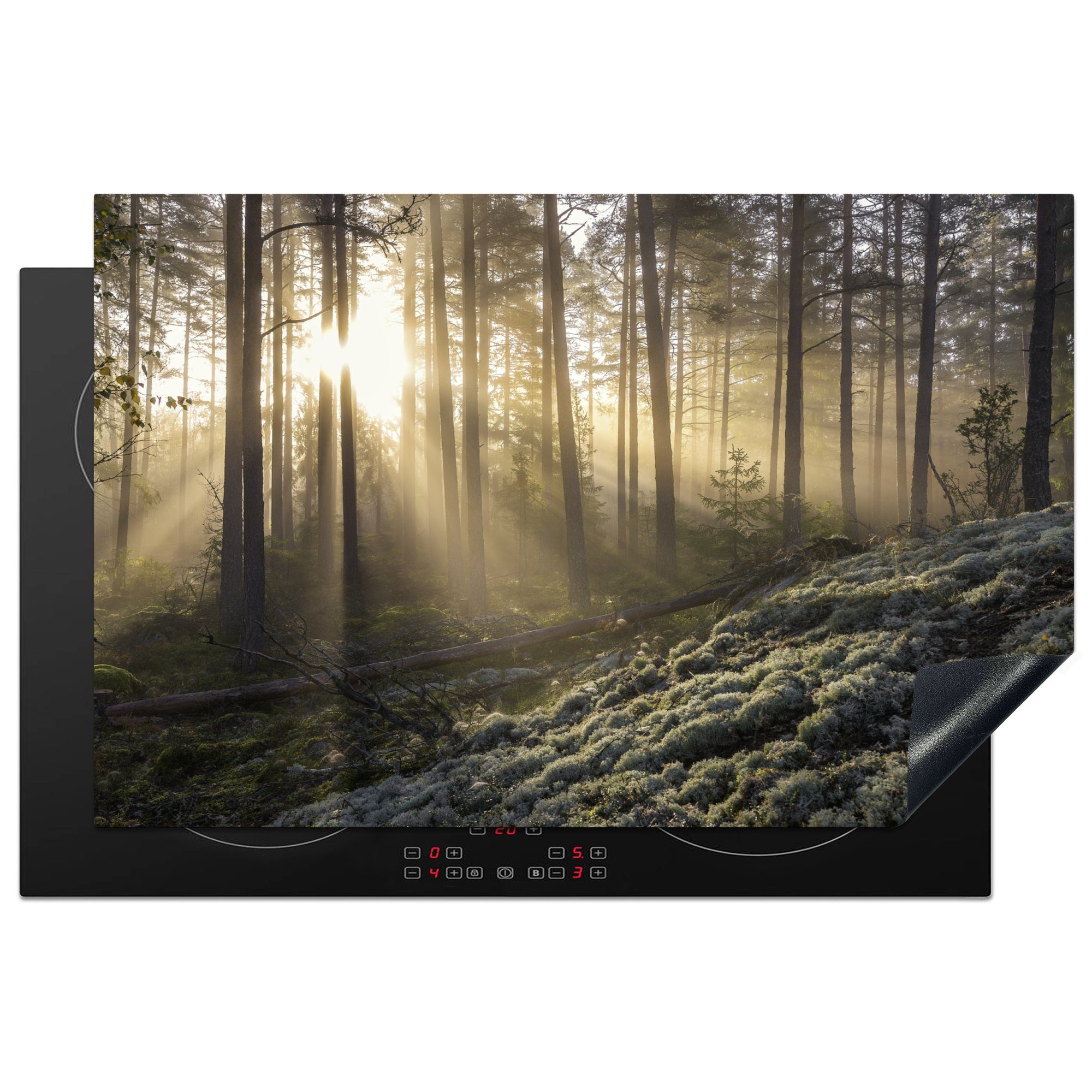 MuchoWow Herdblende-/Abdeckplatte Wald - Baum - Sonne, Vinyl, (1 tlg), 81x52 cm, Induktionskochfeld Schutz für die küche, Ceranfeldabdeckung