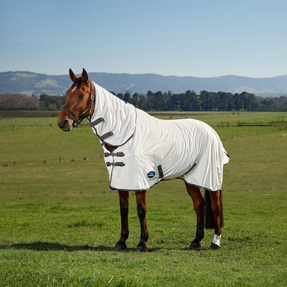 WeatherBeeta Pferde-Fliegendecke Weatherbeeta Comfitec Tyro Fly Sheet Combo