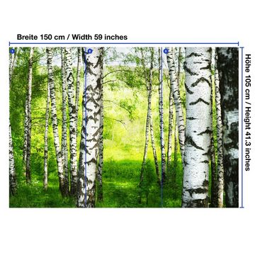wandmotiv24 Fototapete Birkenwald Wiese Landschaft, glatt, Wandtapete, Motivtapete, matt, Vliestapete