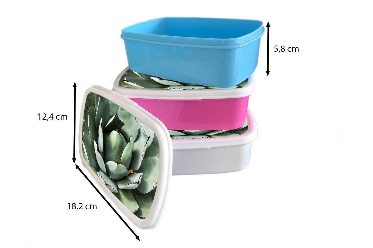 für Jungs und Mädchen Kinder und Erwachsene, für MuchoWow eines Brotdose, Kunststoff, Detail weiß (2-tlg), Brotbox Lunchbox mintgrünen Kaktus,