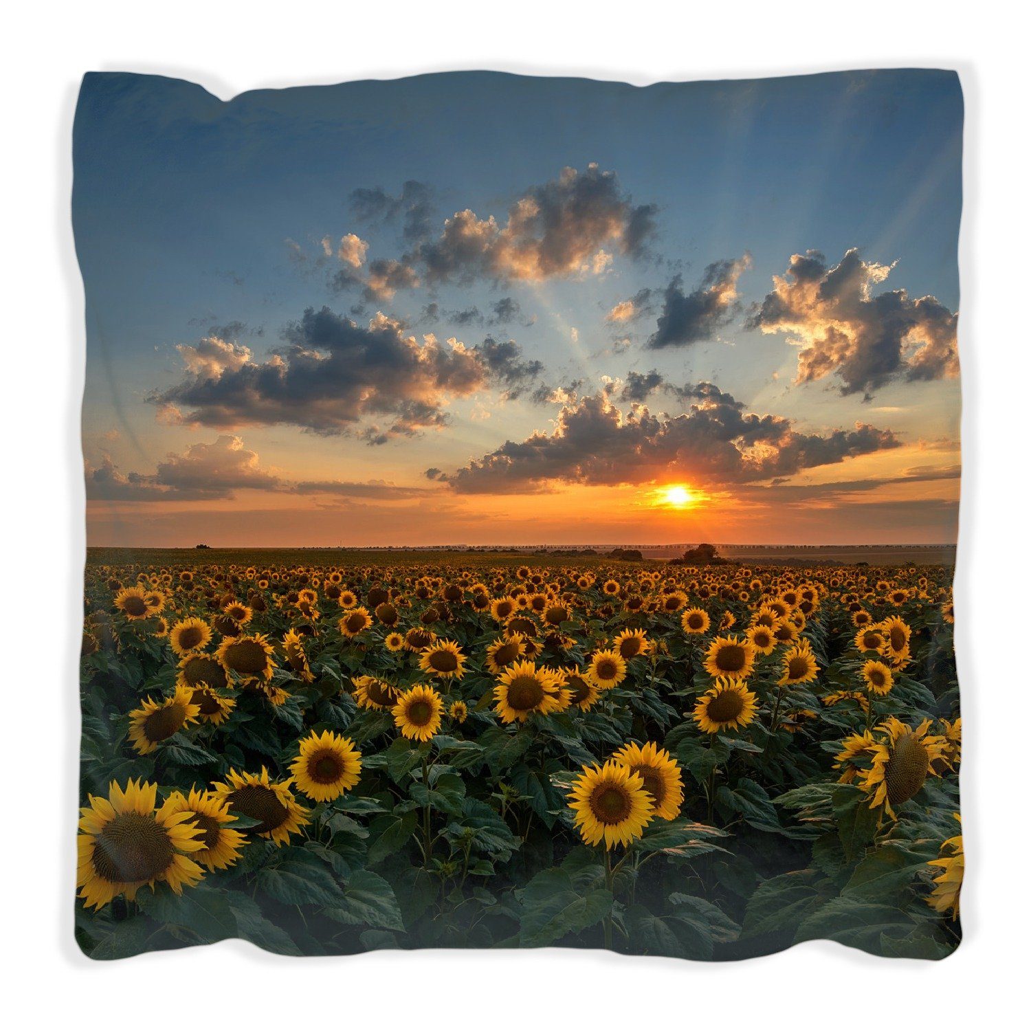Wallario Dekokissen Sonnenblumenwiese vor Wolken mit Sonnenuntergang, handgenäht