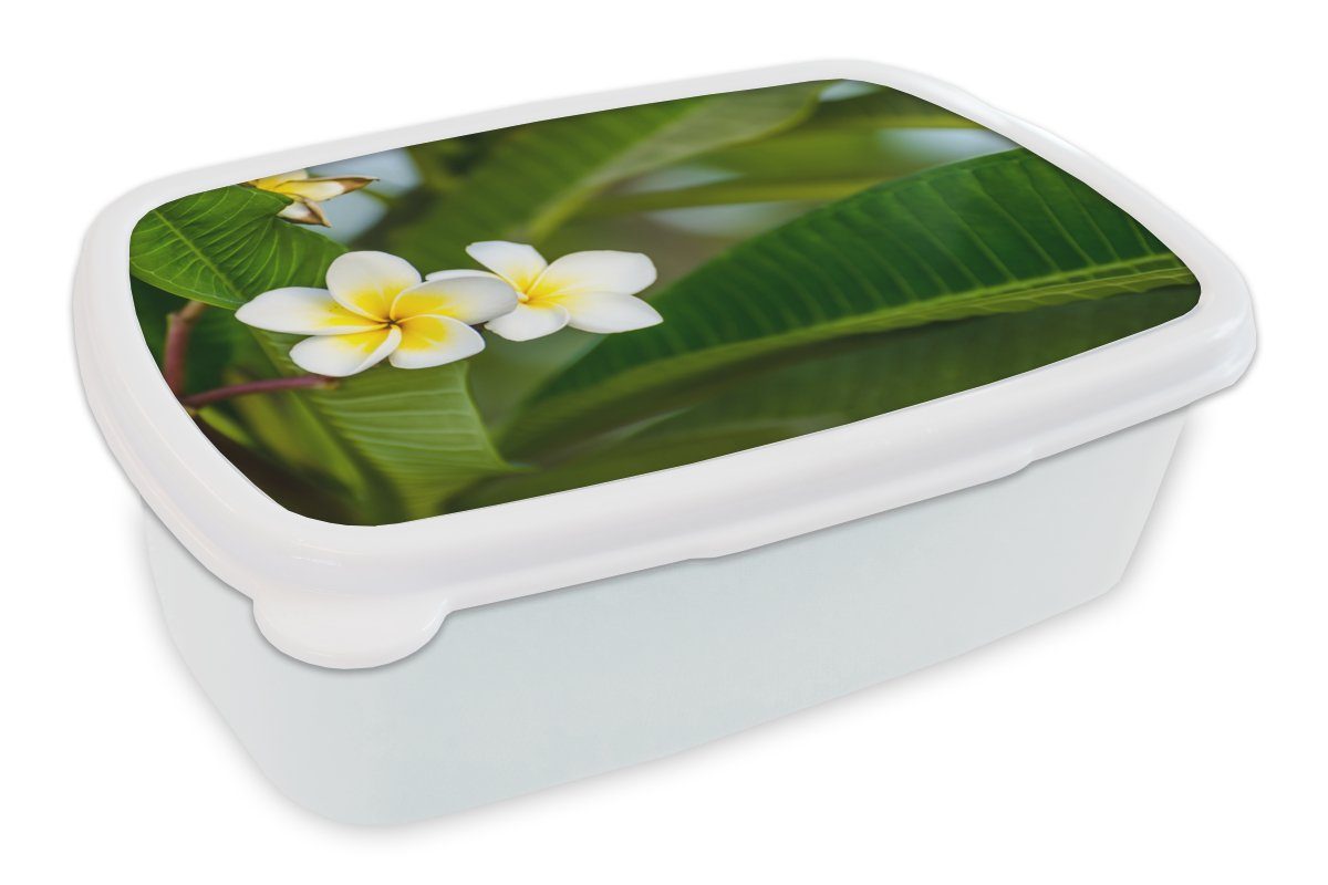 MuchoWow Lunchbox Blumen - Gelb Brotdose, und für weiß Mädchen für Erwachsene, Kunststoff, Kinder (2-tlg), und Brotbox Jungs - Blätter
