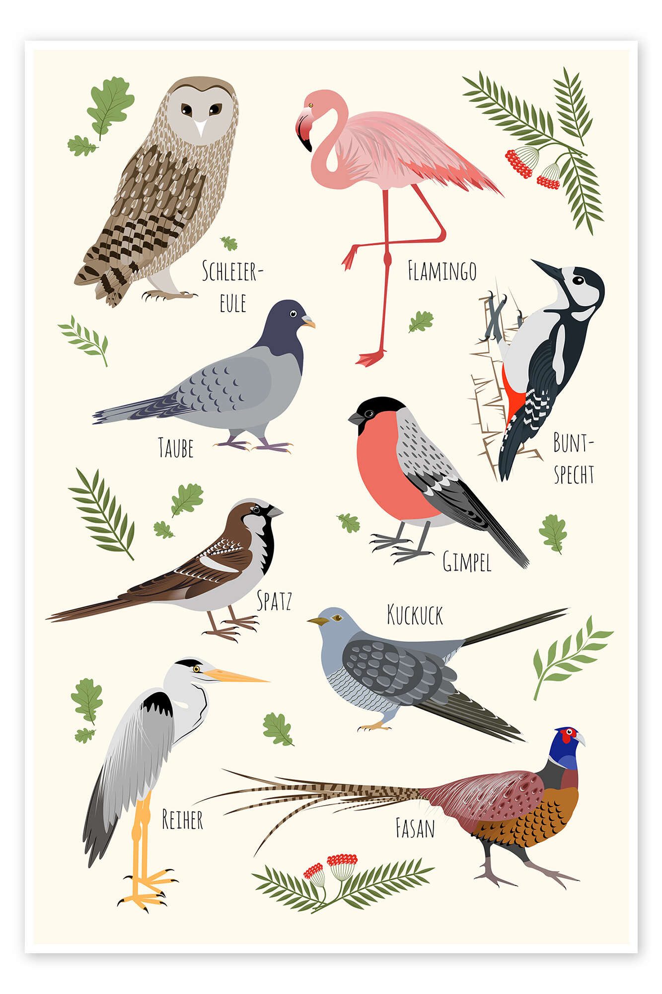Posterlounge Wandbild Vogelarten, Kidz Collection, erhältlich als Poster, Leinwandbild, Wandsticker oder Acrylglasbild