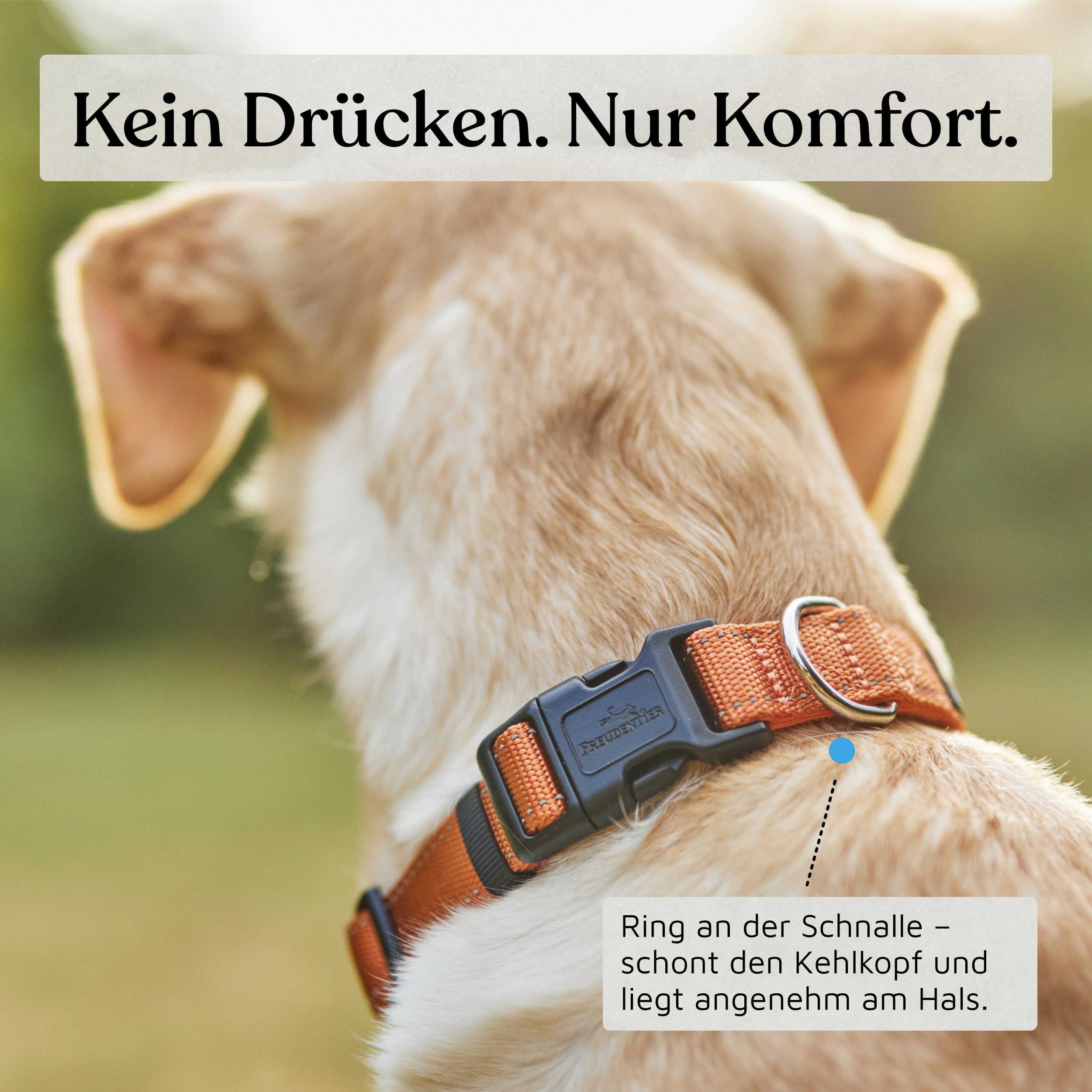 Freudentier Hunde-Halsband Hundehalsband - gepolstert & reflektierend - Clyde Kollektion