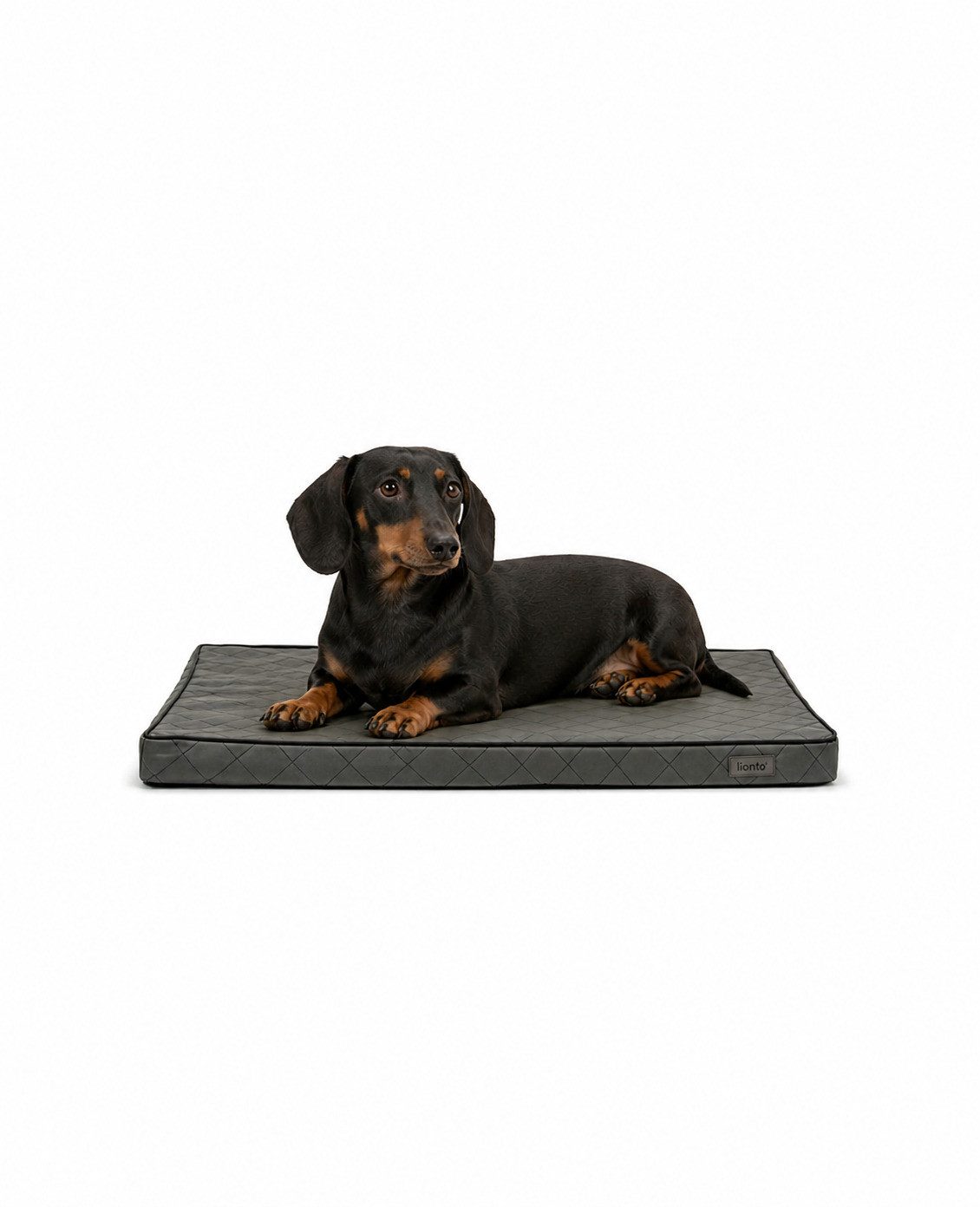 lionto Tierkissen orthopädisch, druckentlastend, Lederimitat, Memory-Foam-Liegefläche, rutschfeste Unterseite & abnehmbarer Bezug