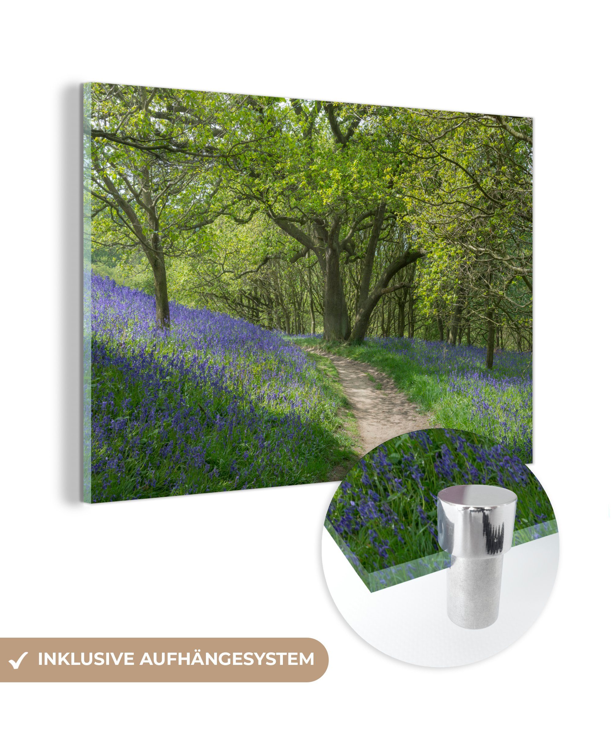 MuchoWow Acrylglasbild Ein Weg durch die Wälder des North York Moors National Park, (1 St), Acrylglasbilder Wohnzimmer & Schlafzimmer