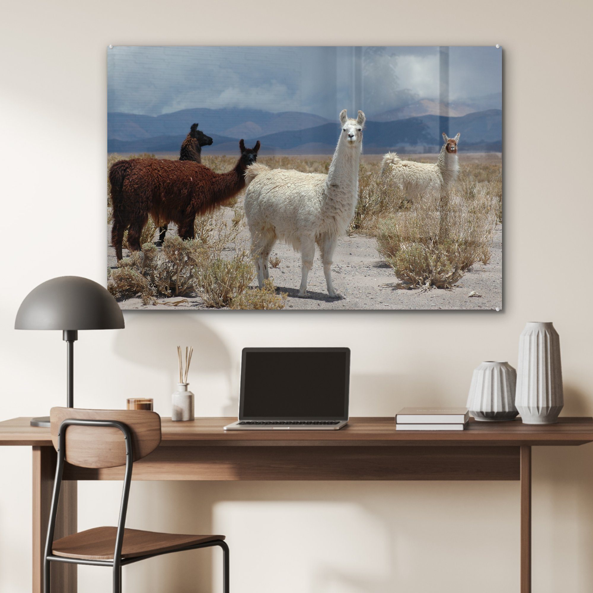 Acrylglasbild Wüste Alpaka - Wohnzimmer MuchoWow St), & (1 - Schlafzimmer Wolken, Acrylglasbilder