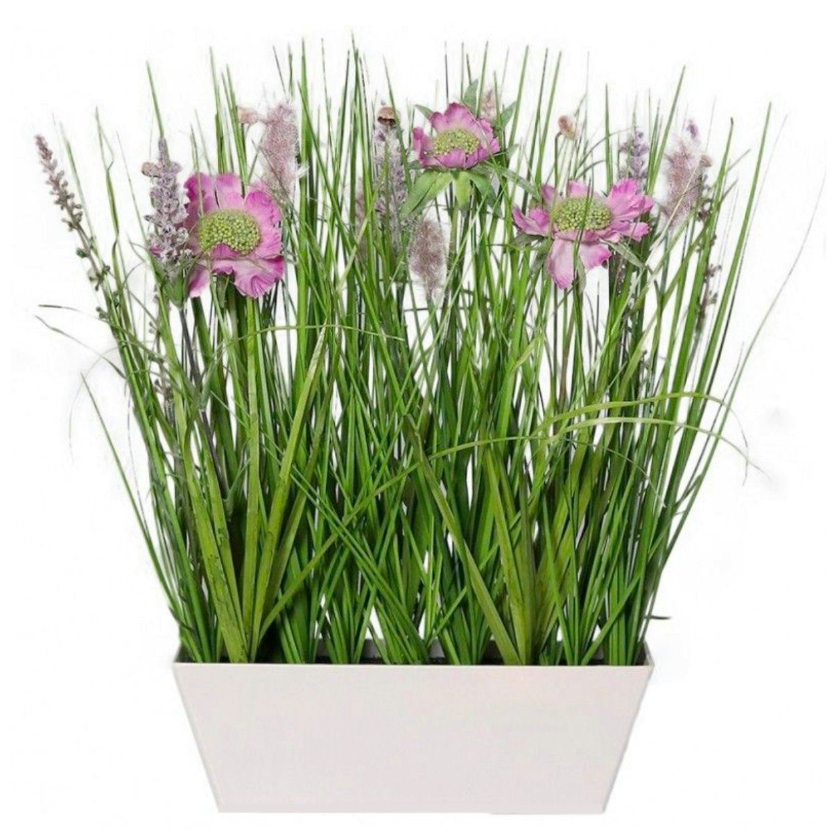 Kunstblume, SB Zentralmarkt. € 16,90