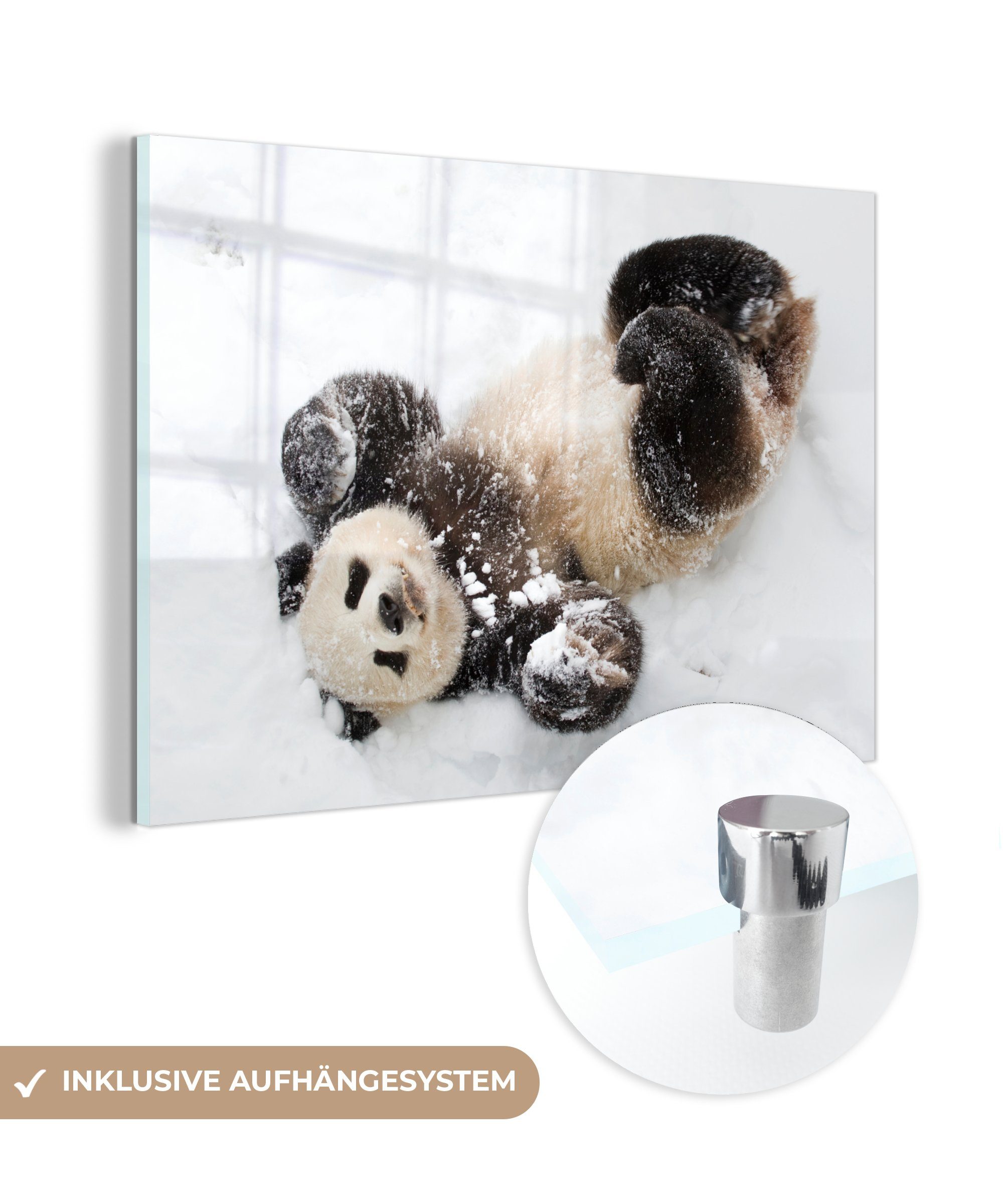 MuchoWow Acrylglasbild Panda - Baby, St), Wohnzimmer - Schnee Acrylglasbilder & Schlafzimmer (1