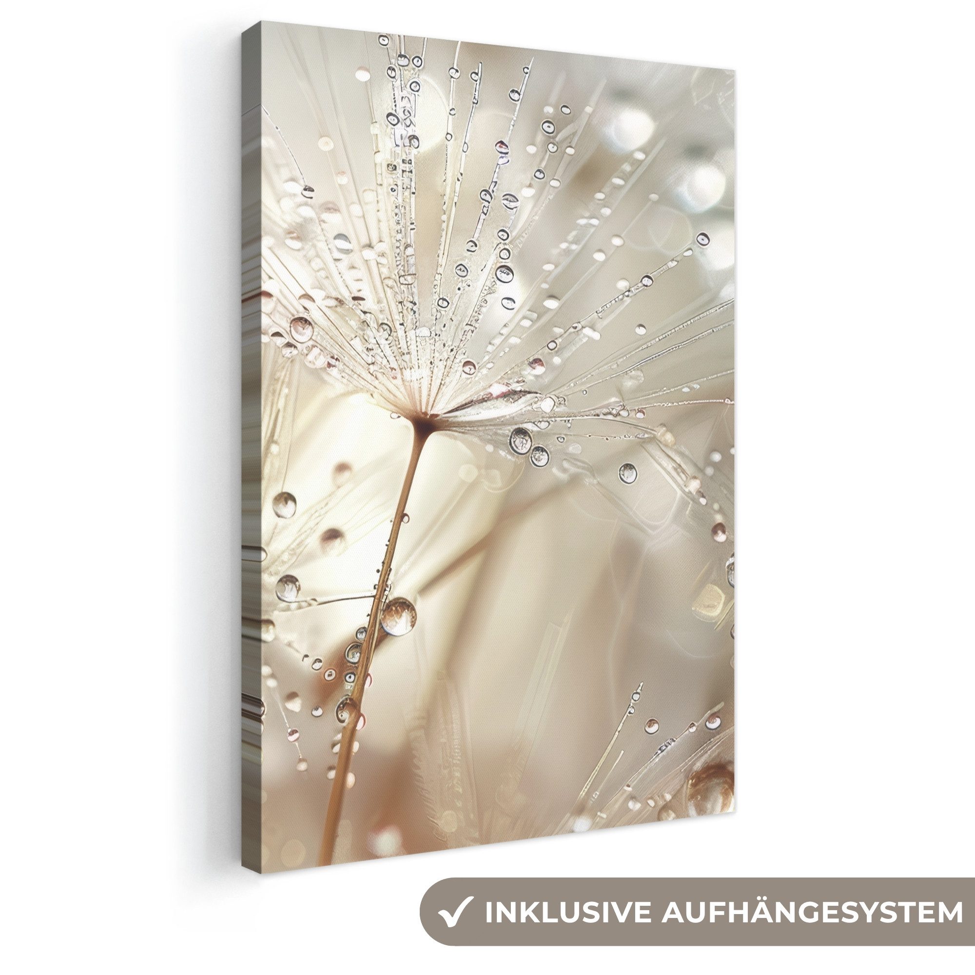 OneMillionCanvasses® Leinwandbild Natur - Blumen - Tropfen - Regen, Fotodruck (1 St), Leinwand Canvas Wandbild, Wanddekoration 20x30 cm