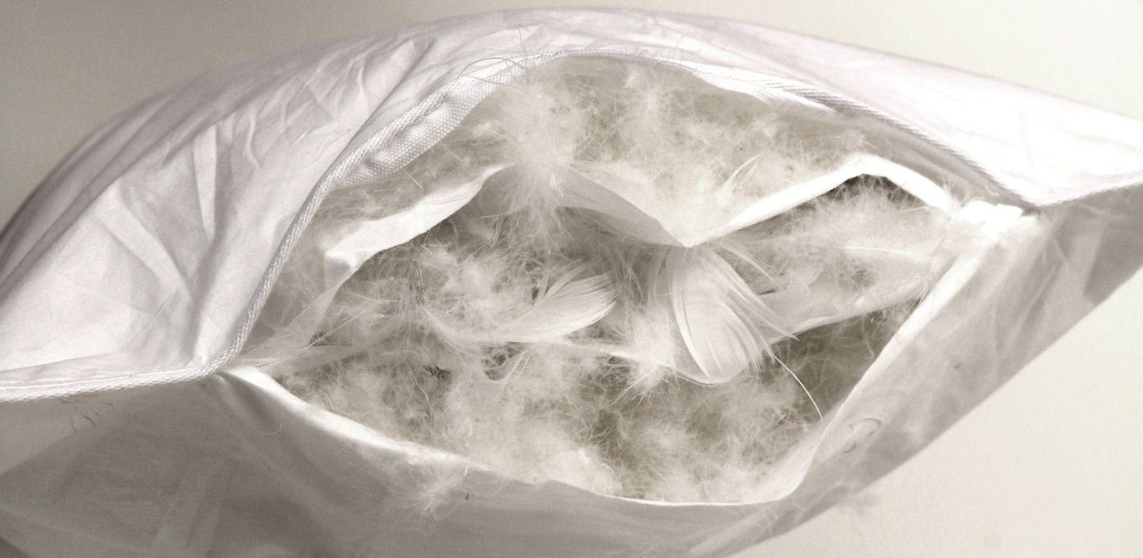 Betten Hofmann 3-Kammer-Kopfkissen Betten Hofmann Luxus günstig online kaufen