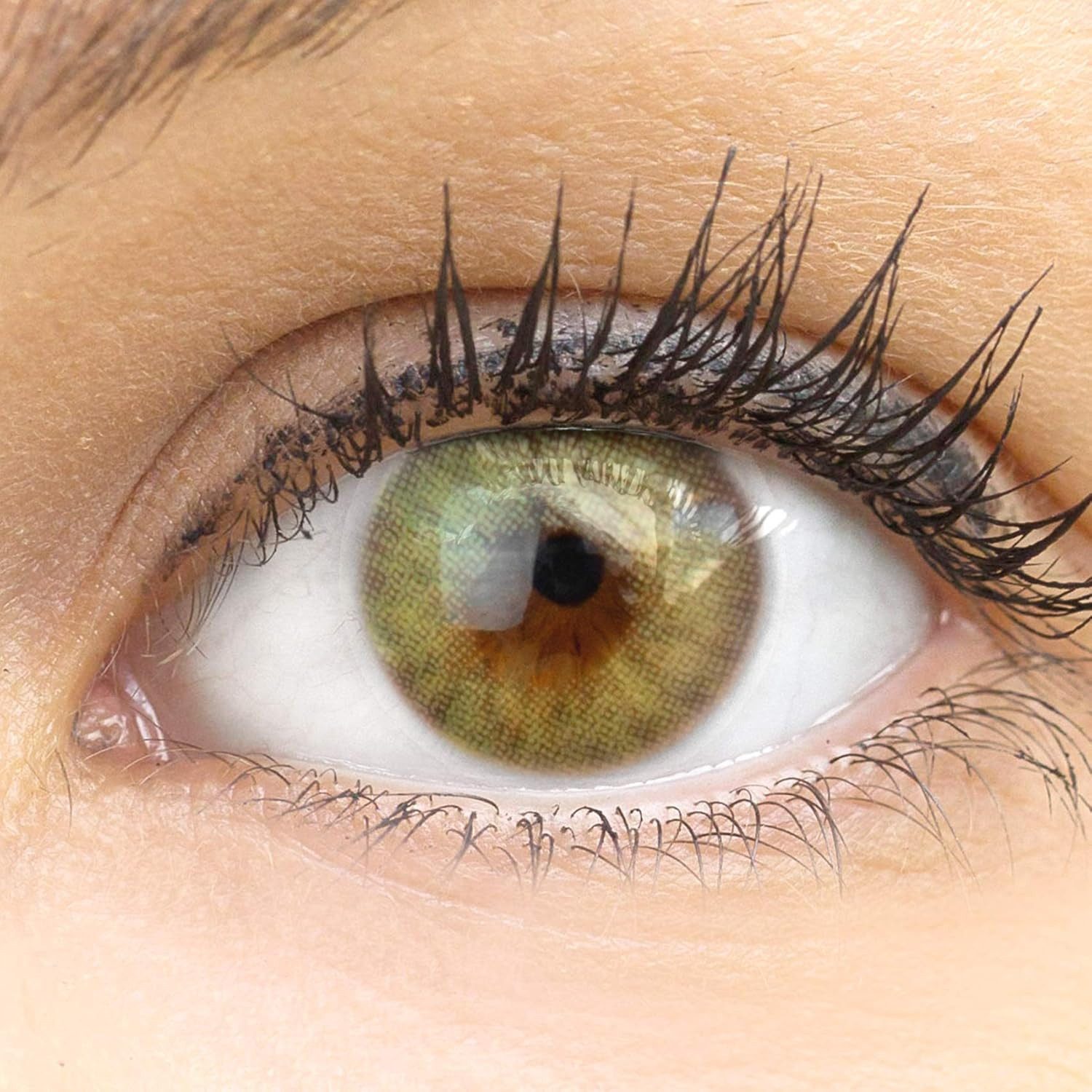 GLAMLENS Monatslinsen Bozen Green