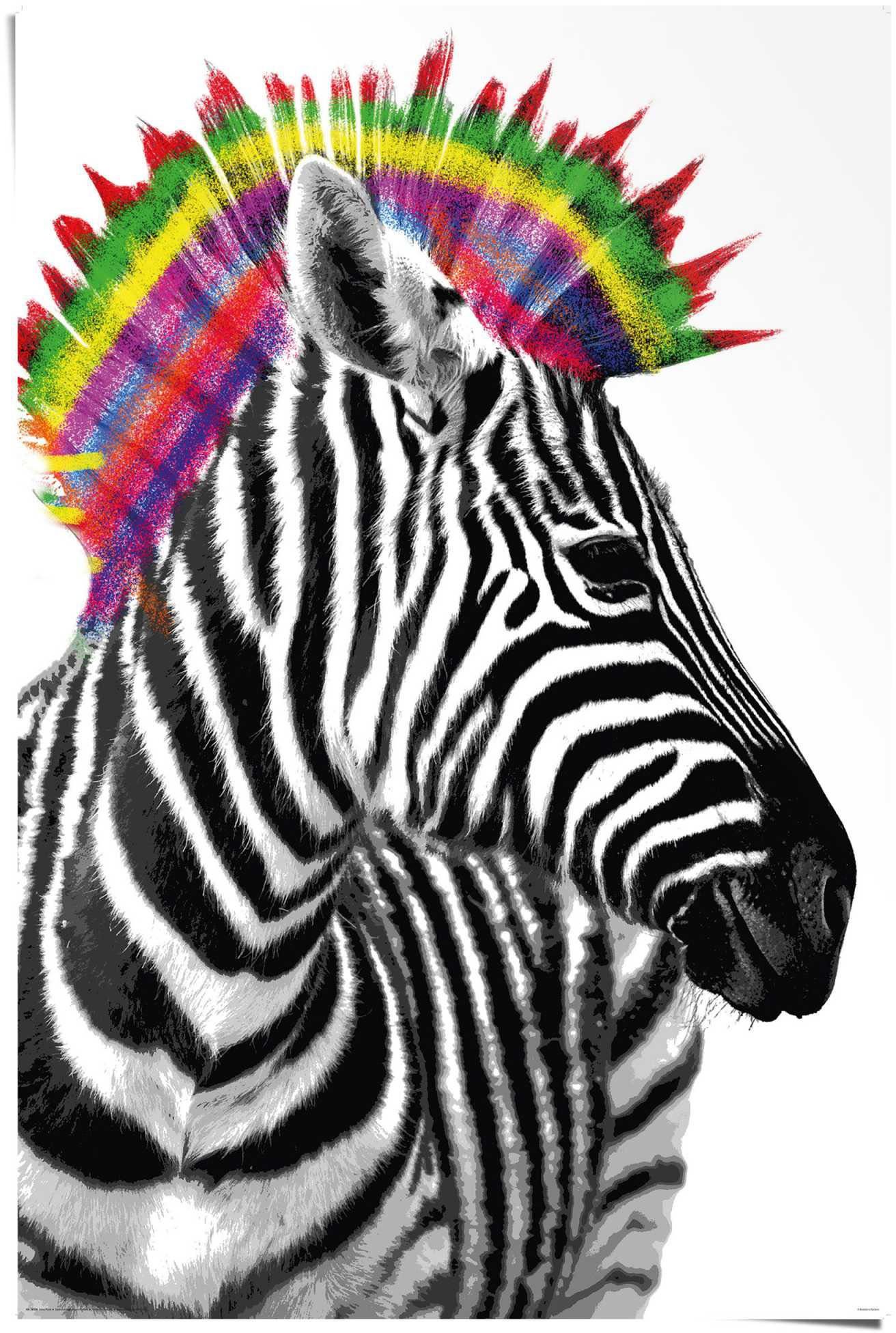 Reinders! (1 St) Punk, Zebra Poster