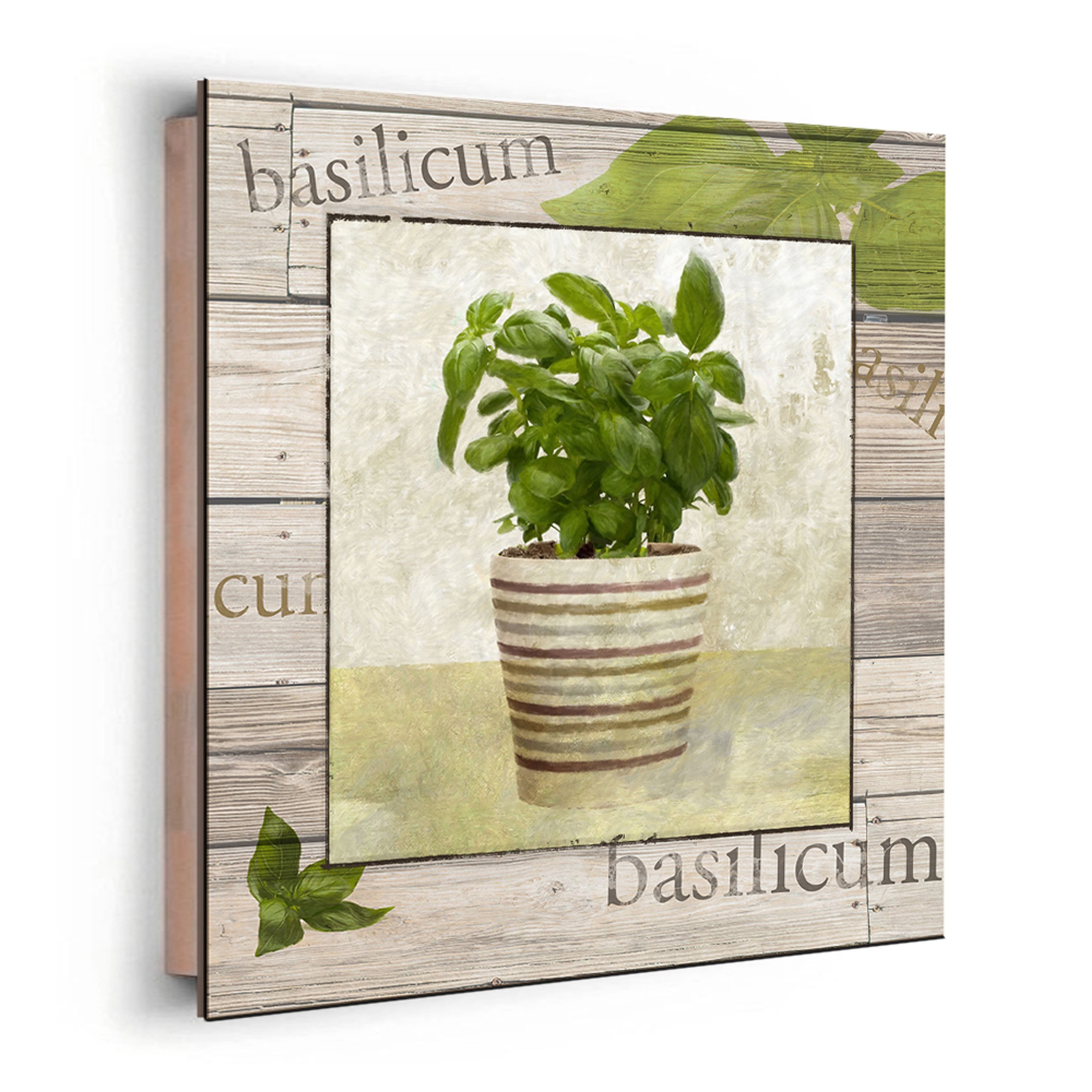 artissimo Deco-Panel Bild 30x30 cm Küche/ Wandbild klein leicht / Landhaus-Stil Kräuter, Küchenbild: Basilikum im Topf in grün beige