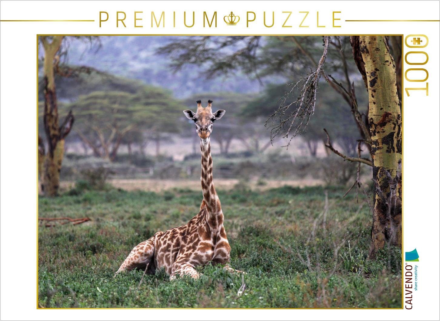 CALVENDO Puzzle CALVENDO Puzzle Giraffen – Mittagsruhe 1000 Teile Lege-Größe 64 x 48 cm Foto-Puzzle Bild von Michael Herzog, 1000 Puzzleteile