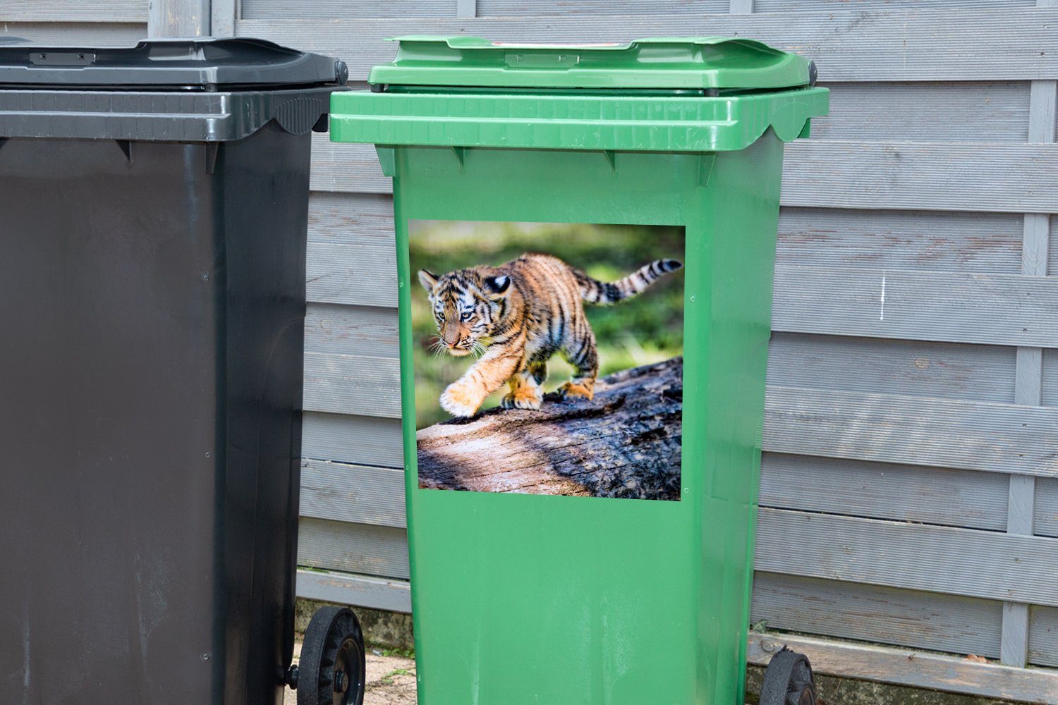 MuchoWow Wandsticker Tiger - St), (1 Junge - Abfalbehälter Mülleimer-aufkleber, Container, Baum Sticker, Mülltonne