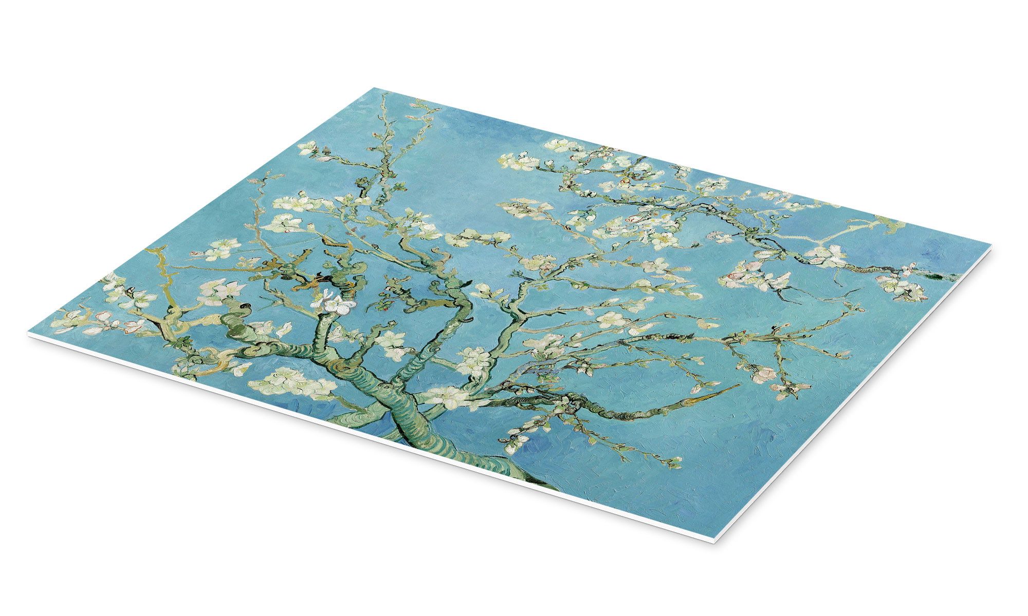 Posterlounge Wandbild Mandelblüte, Vincent van Gogh, erhältlich als Poster, Leinwandbild, Wandsticker oder Acrylglasbild