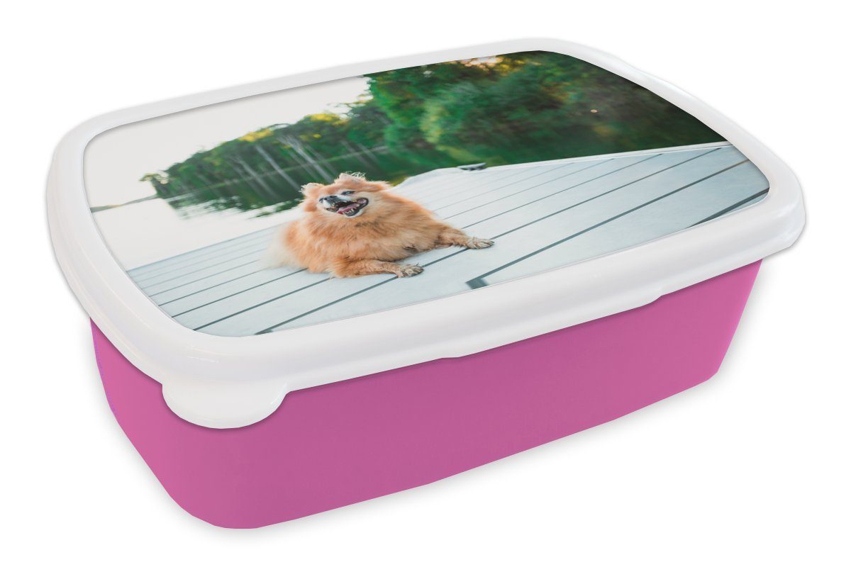 MuchoWow Lunchbox Pomeranian liegend auf Steg, Kunststoff, (2-tlg), Brotbox für Erwachsene, Brotdose Kinder, Snackbox, Mädchen, Kunststoff rosa