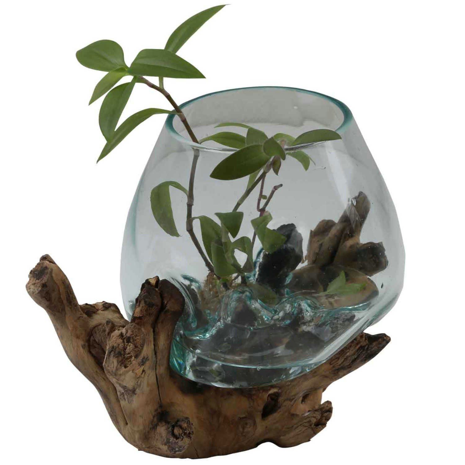 Casa Moro Dekovase Glasvase auf Wurzelholz aus Recycling Glas Ø 18cm & Teak Wurzel (einzigartige Glas Vase auf Wurzel Holz Wohn Deko, Couchtisch Esszimmer Tischdeko), Kunsthandwerk Pur - Jedes Stück garantiert ein Unikat