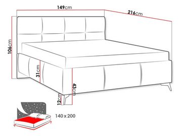 MIRJAN24 Polsterbett Genua (mit Bettkasten, Polsterkopfteil, Lattenrost), mit Gasdruckfeder und Metallfüße