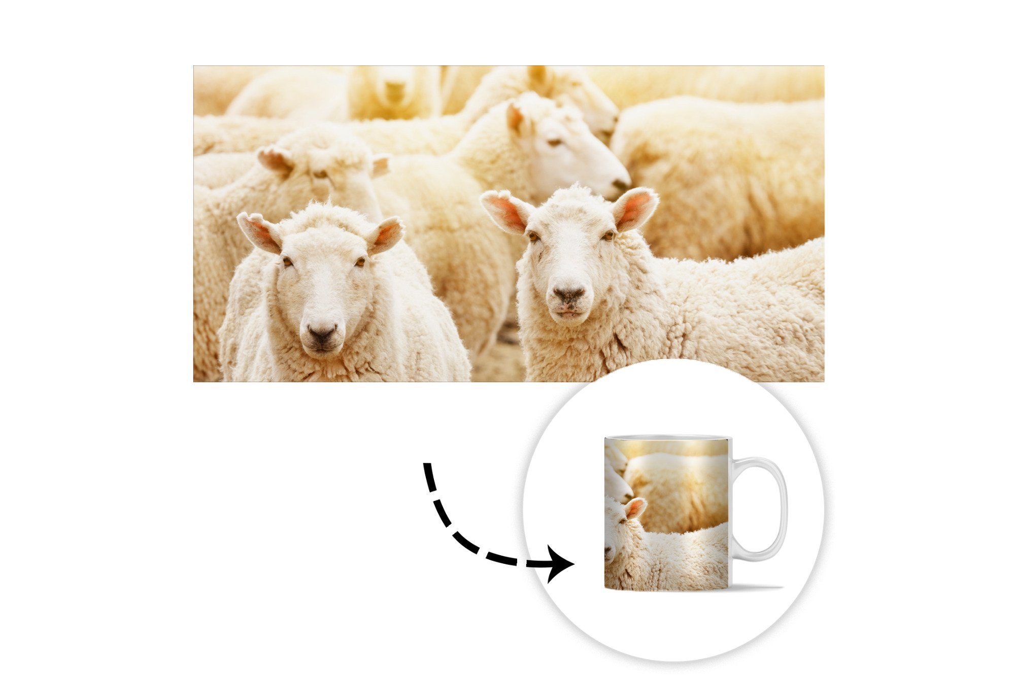 Kaffeetassen, - Schafe Weiß, - Becher, Teetasse, Wolle Teetasse, Keramik, Geschenk MuchoWow Tasse