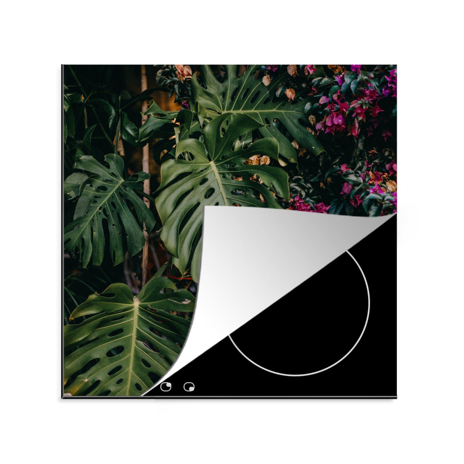 MuchoWow Herdblende-/Abdeckplatte Monstera (Lochpflanze) Hintergrund, Vinyl, (1 tlg), 78x78 cm, Ceranfeldabdeckung, Arbeitsplatte für küche