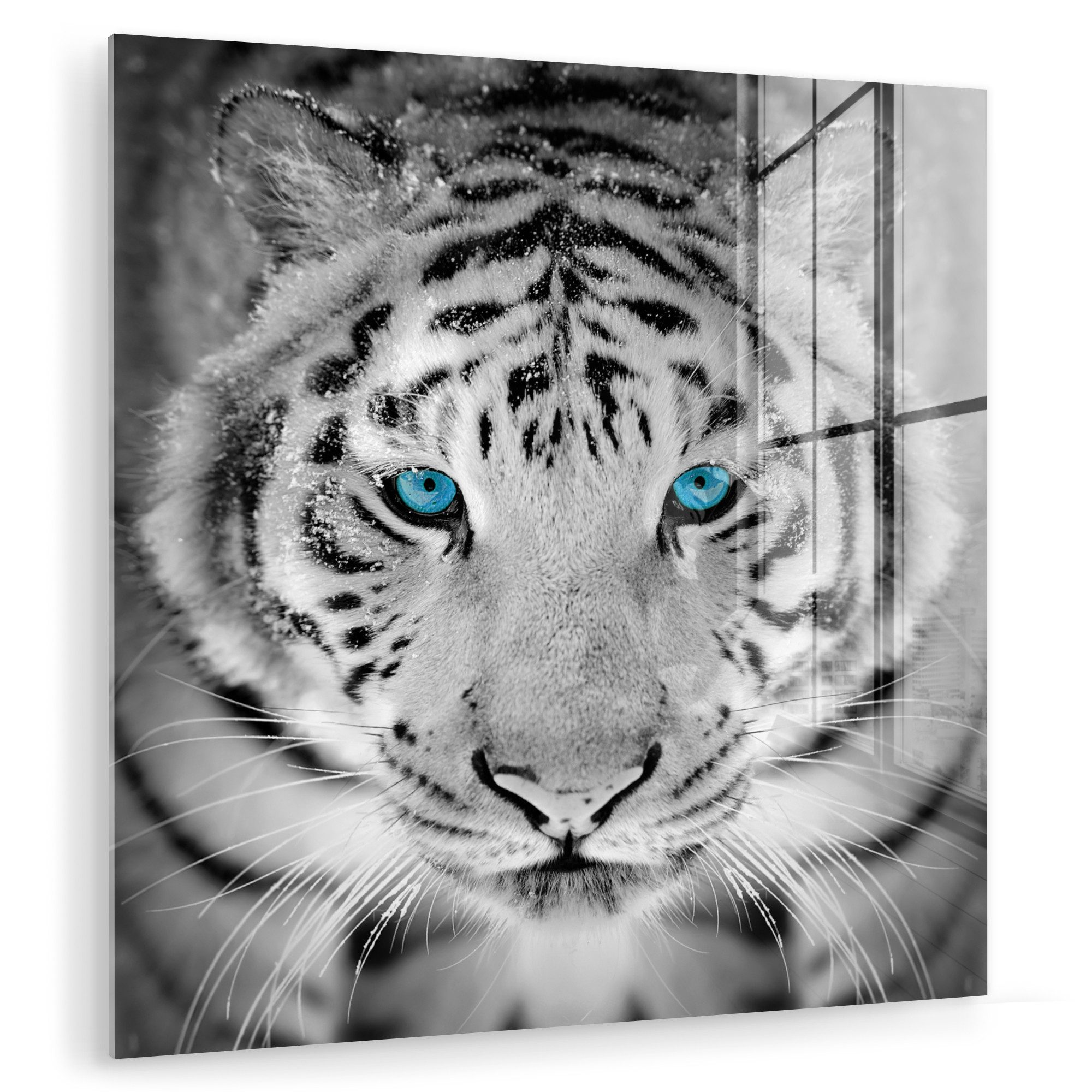 MuchoWow Acrylglasbild Tiere - Tiger - günstig online kaufen