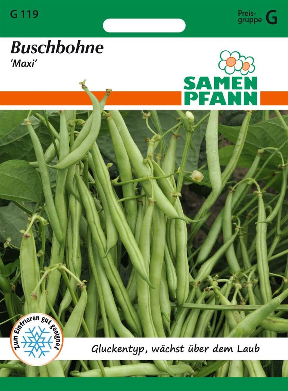 SAMEN PFANN Gemüsesamen Buschbohne, Maxi - Bohnen-Samen Saatgut Samen, Phaseolus vulgaris