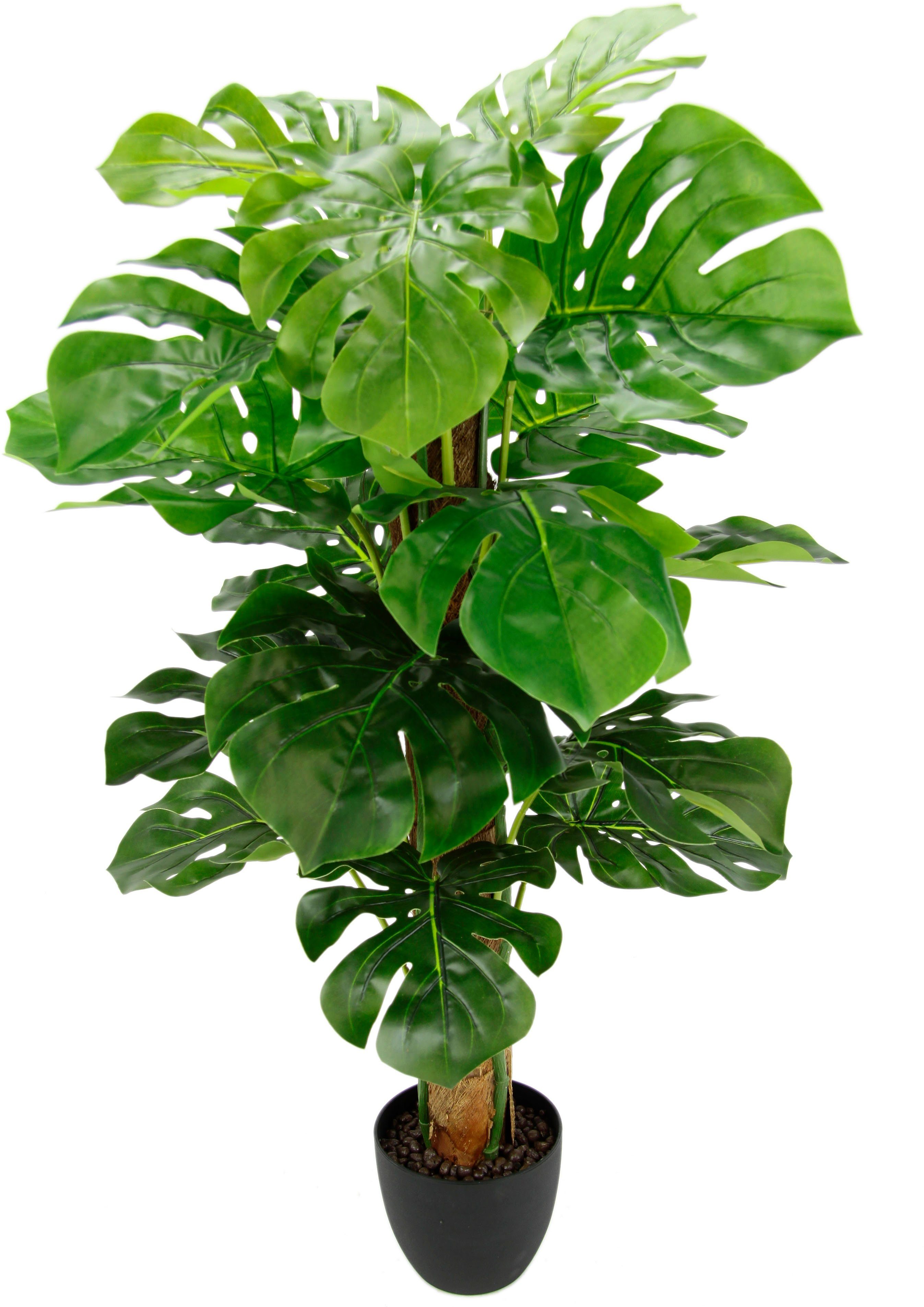 Kunstpflanze Splitphilopflanze, I.GE.A., Höhe 90 cm, im Kunststofftopf