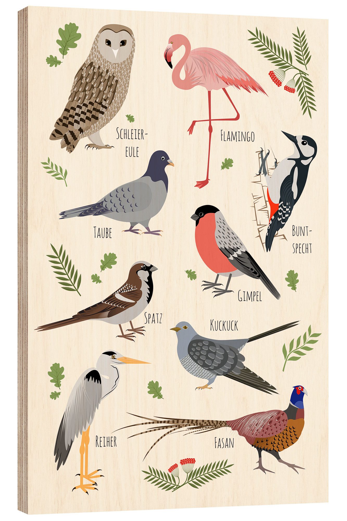 Posterlounge Wandbild Vogelarten, Kidz Collection, erhältlich als Poster, Leinwandbild, Wandsticker oder Acrylglasbild