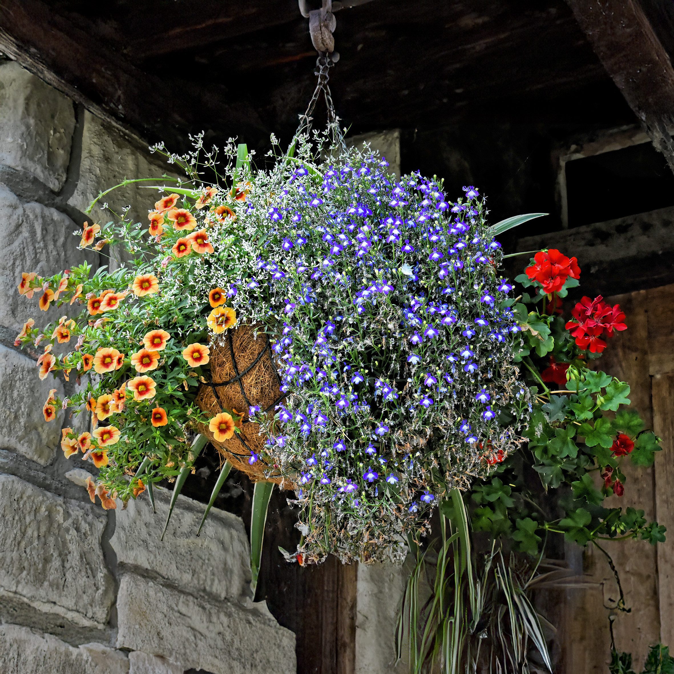 Spetebo Blumenampel Metall Blumenampel mit Kokos Einsatz - 30 cm (Stück, 1 St., Blumenampel), Blumenschale zum Hängen inklusive Kette – Bild 5 von 5