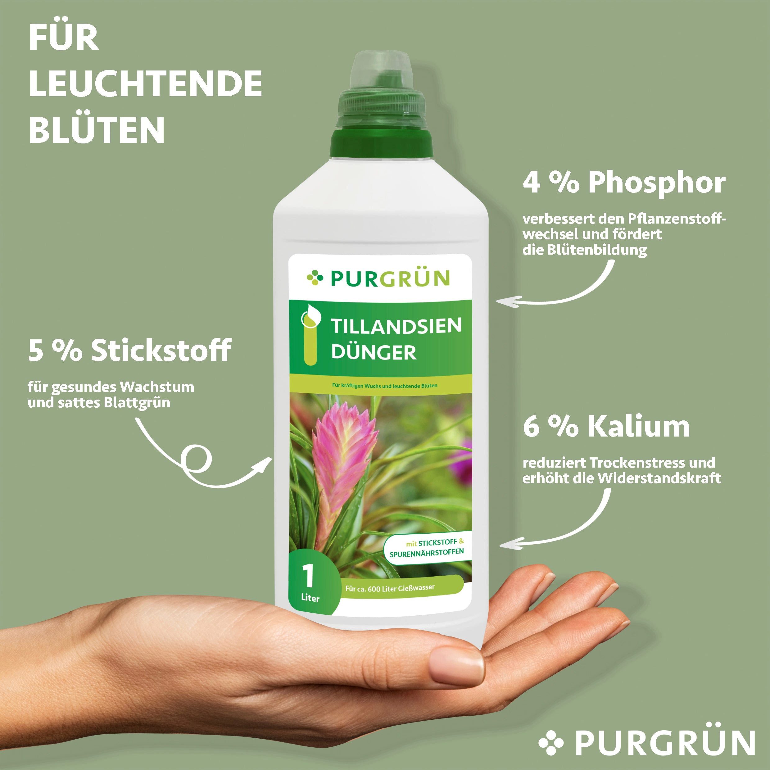 Purgrün Universaldünger Purgrün Tillandsien Dünger, NPK günstig online kaufen