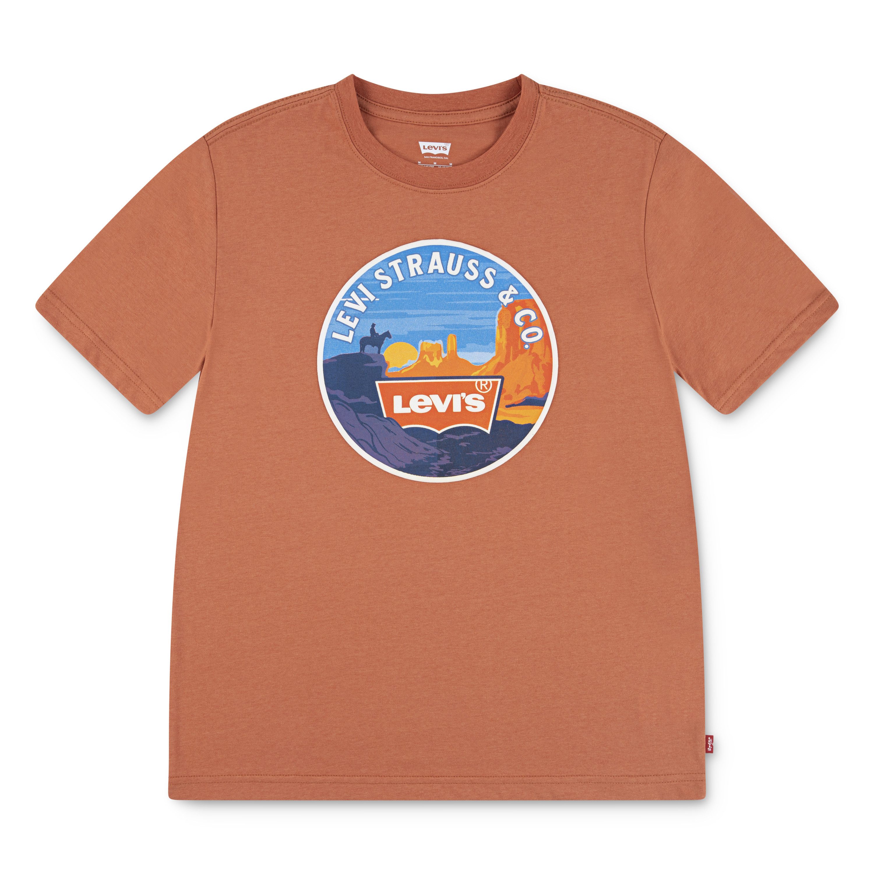 Levi's® Kids T-Shirt LVB DESERT TRAIL TEE mit Wüstenprint, for Boys