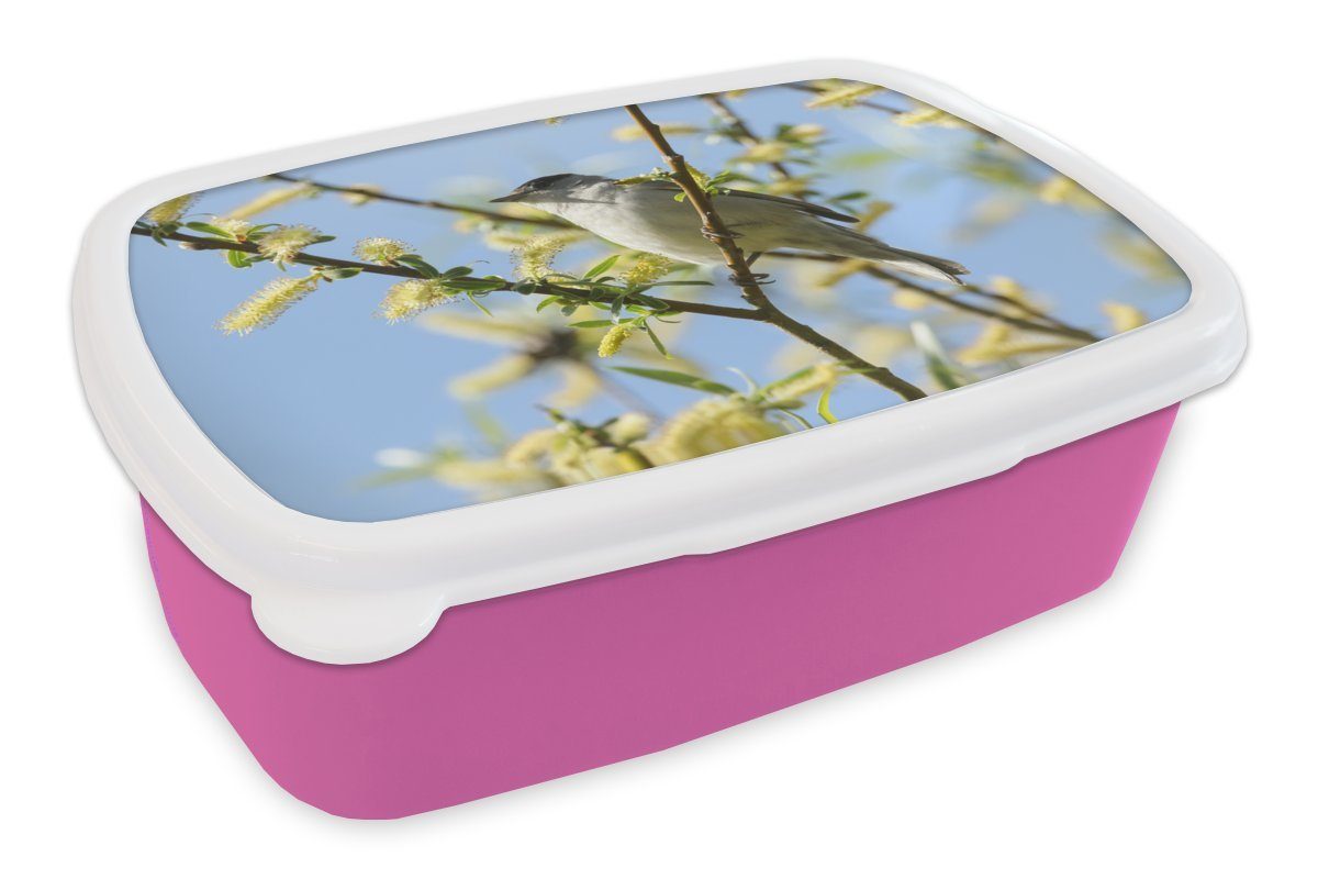 MuchoWow Lunchbox im für Vogel Baum, Brotbox Kinder, rosa Brotdose Mädchen, Kunststoff (2-tlg), Kunststoff, Snackbox, Erwachsene,