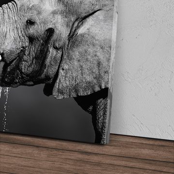 Sinus Art Leinwandbild 120x80cm Wandbild auf Leinwand Elefant Stoßzähne Schwarz Weiß Tierfoto, (1 St)