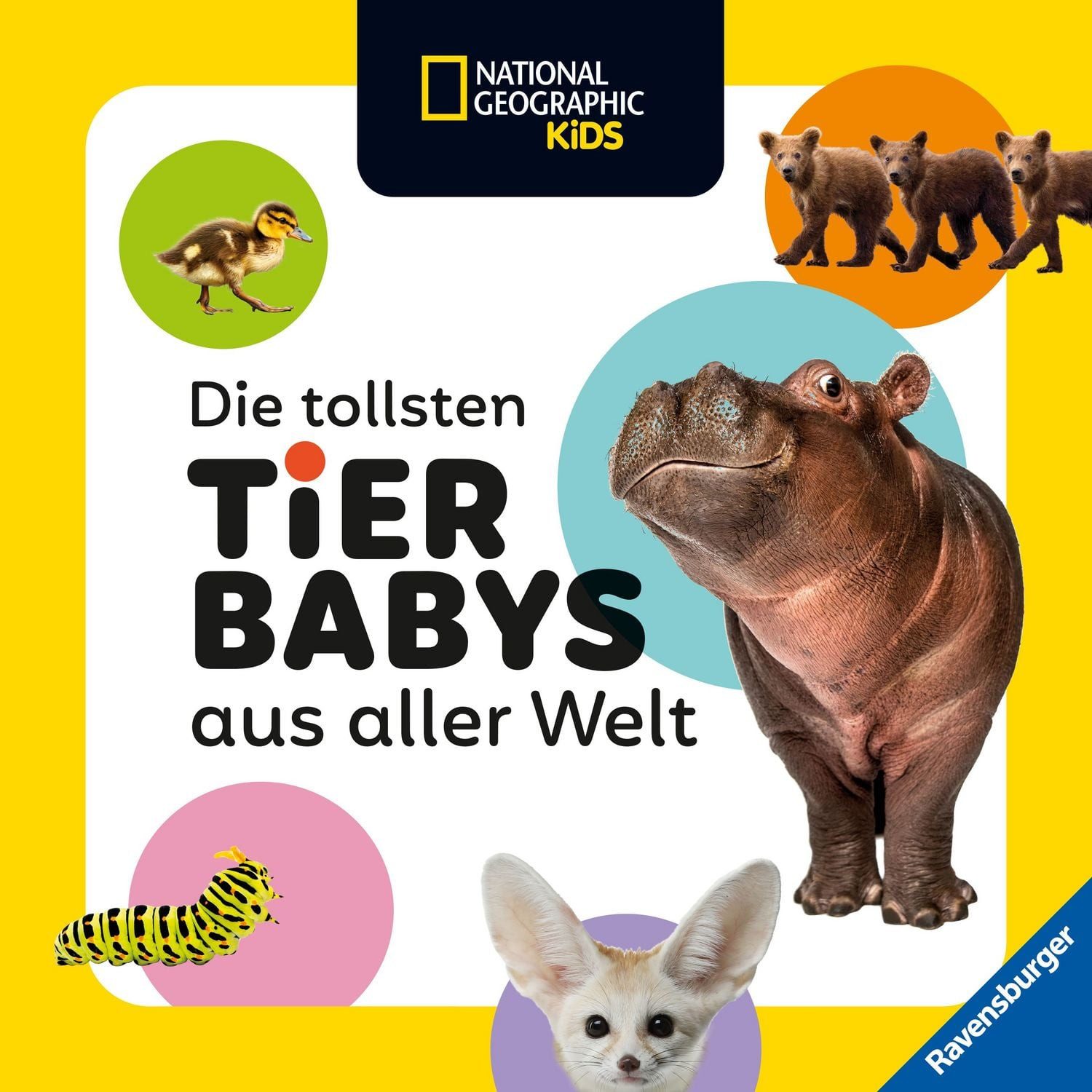 National Geographic Kids - Die tollsten Tierbabys aus aller Welt / Maya Myers