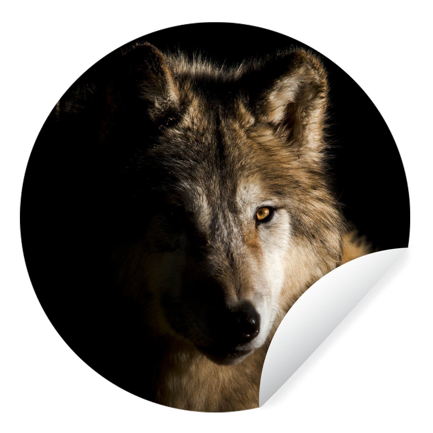MuchoWow Wandsticker Polarwolf (1 St), Tapetenkreis für Kinderzimmer, Tapetenaufkleber, Rund, Wohnzimmer