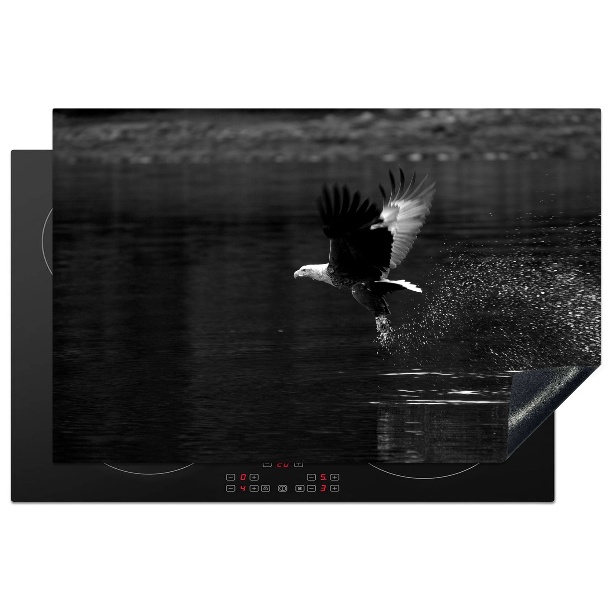 MuchoWow Herdblende-/Abdeckplatte Ein europäischer Seeadler fliegt aus dem Wasser - schwarz und weiß, Vinyl, (1 tlg), 81x52 cm, Induktionskochfeld Schutz für die küche, Ceranfeldabdeckung