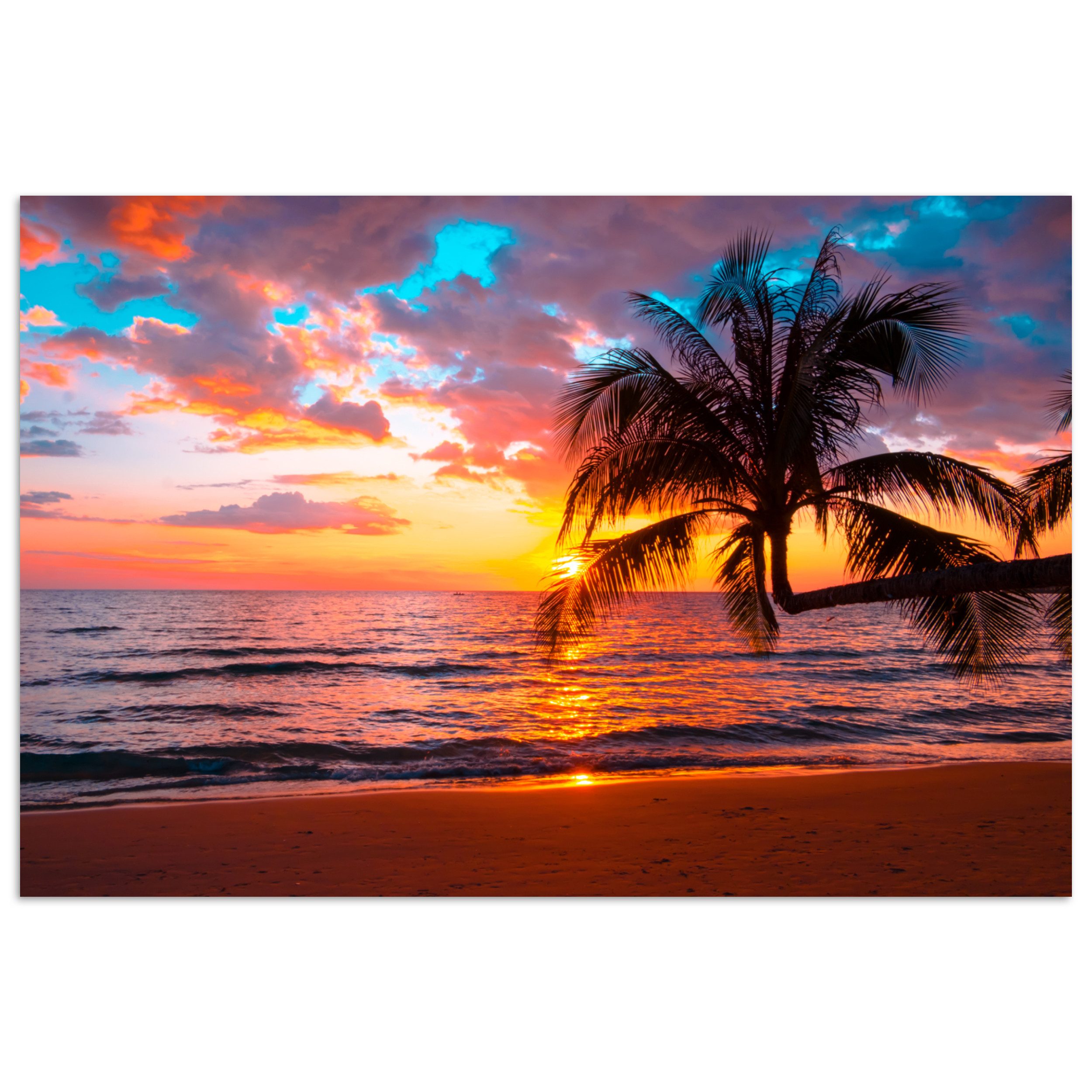 MuchoWow Poster Palme - Sonnenuntergang - günstig online kaufen