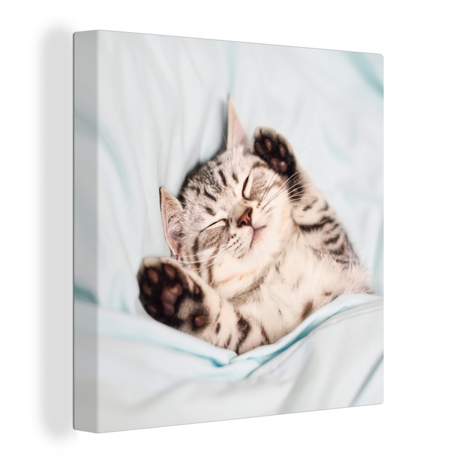 OneMillionCanvasses® Leinwandbild Kätzchen - Lustig - Bett - Kinder - Jungen - Mädchen - Kinder, (1 St), Leinwand Bilder für Wohnzimmer Schlafzimmer