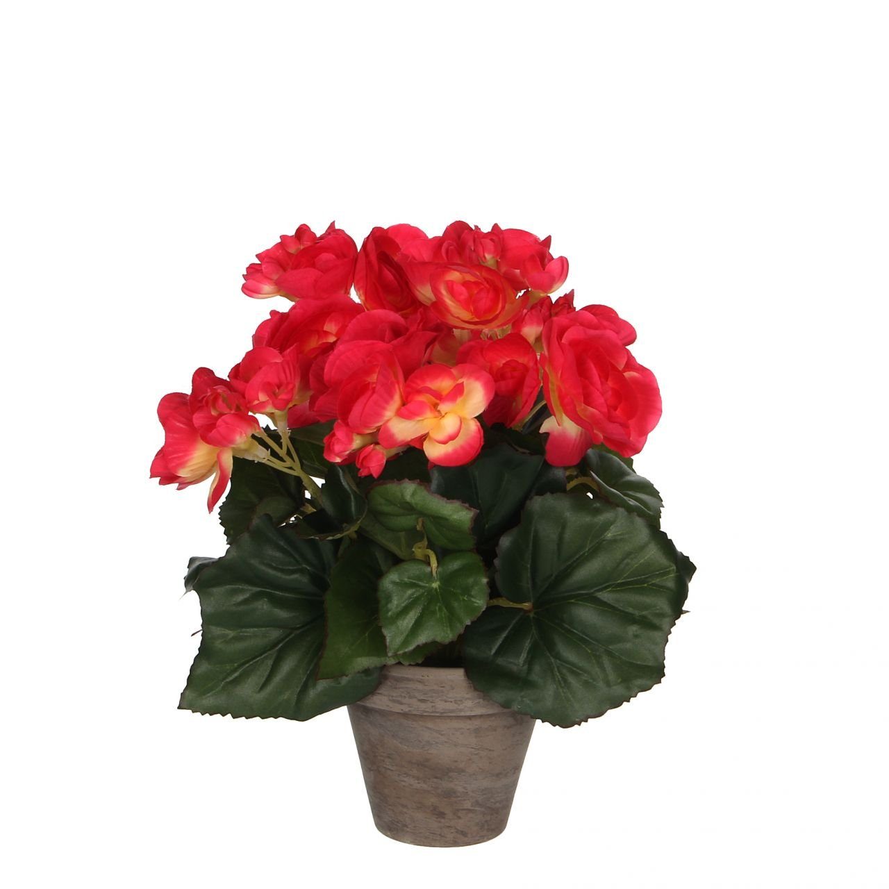 25 cm, x Topf Mica 20 im Kunstpflanze Decorations Begonia dunkelrosa, Mica