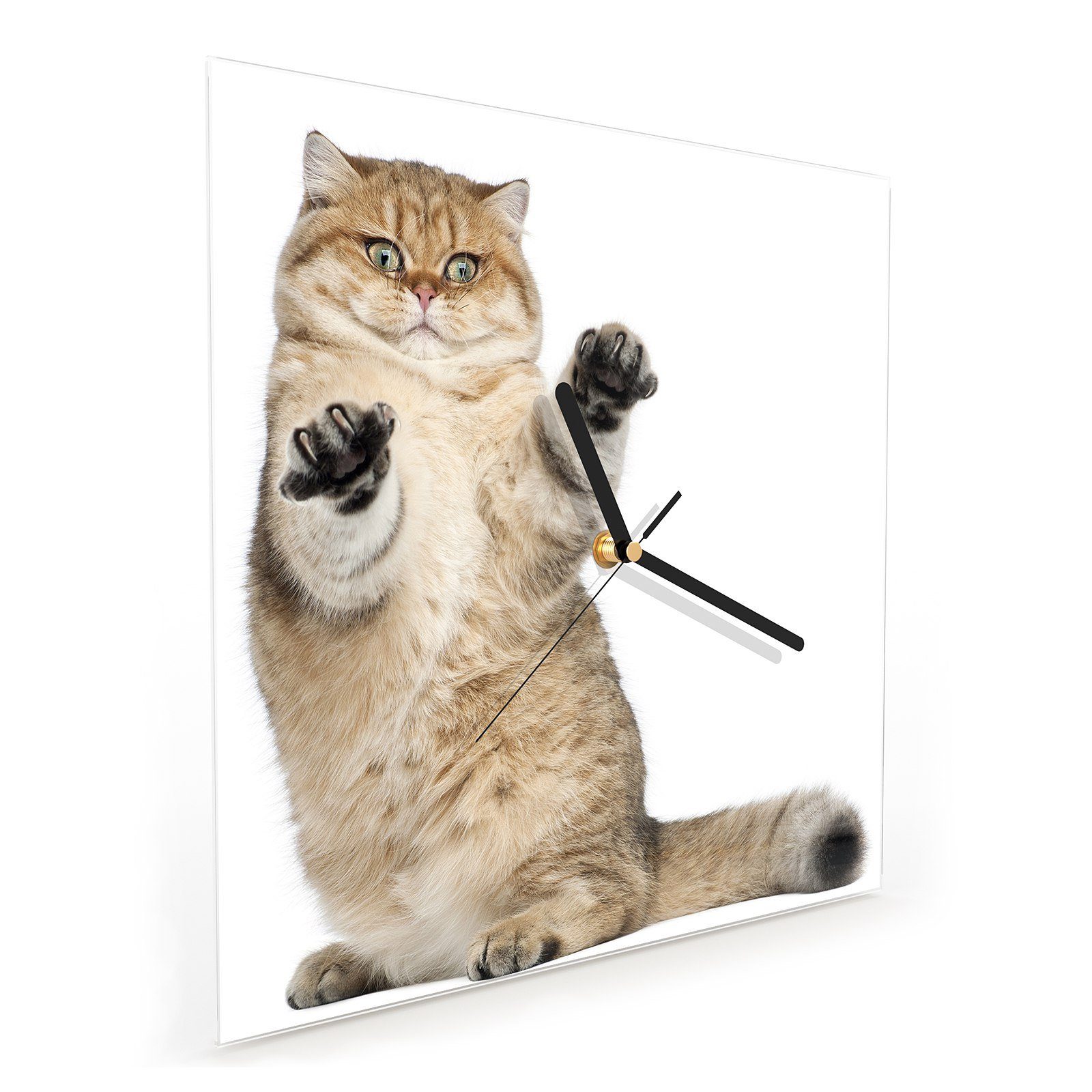 Primedeco Wanduhr Glasuhr Wanduhr Wandkunst Katze mit Motiv cm Kurzhaar Größe x 30 30