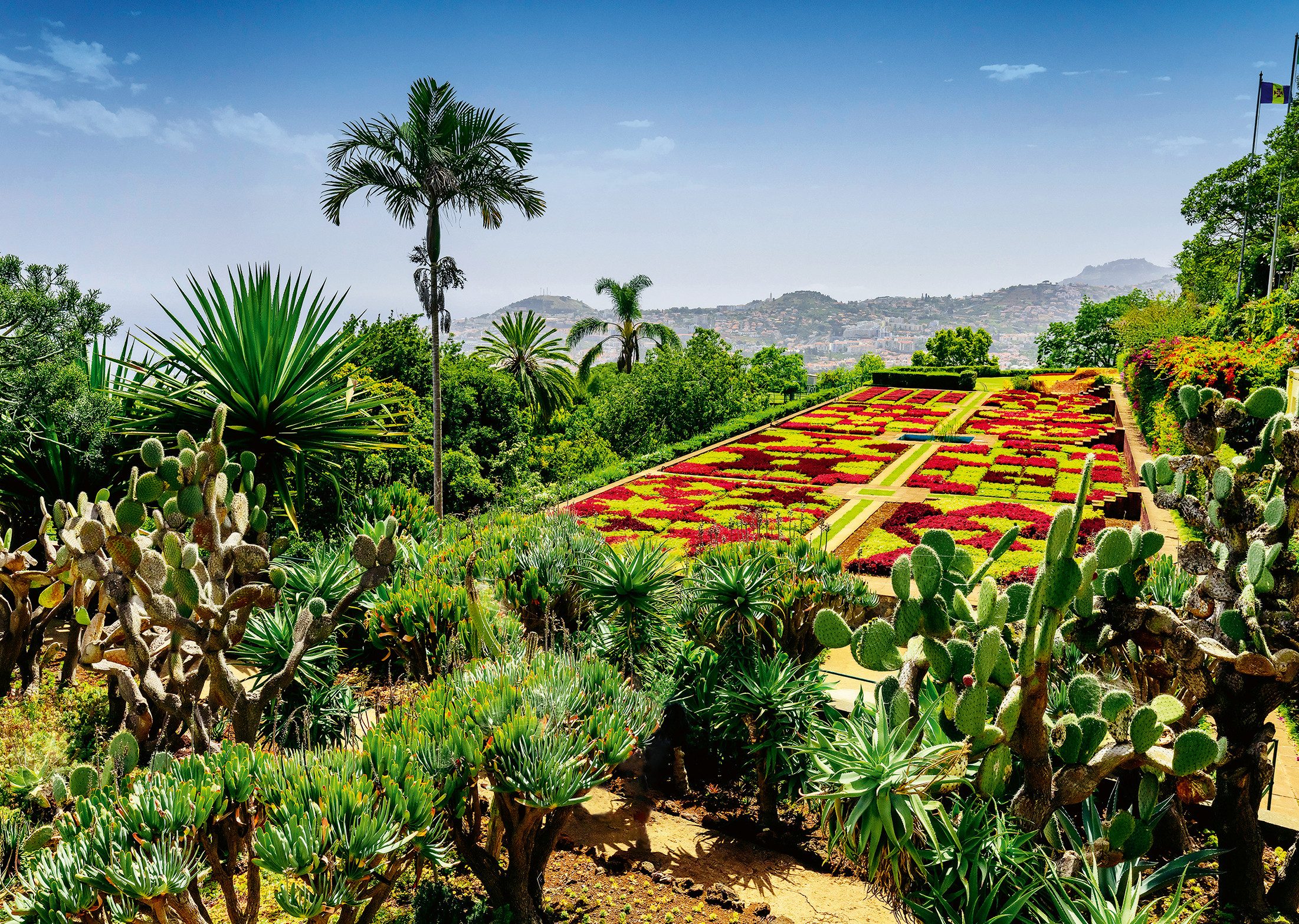 Ravensburger Puzzle Beautiful Gardens, Botanical Garden, günstig online kaufen