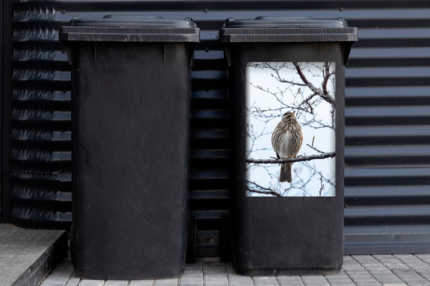 MuchoWow Wandsticker Ein großer Moorzeisig Sticker, Abfalbehälter St), einem Island Container, (1 Mülltonne, auf sitzt in Ast Mülleimer-aufkleber