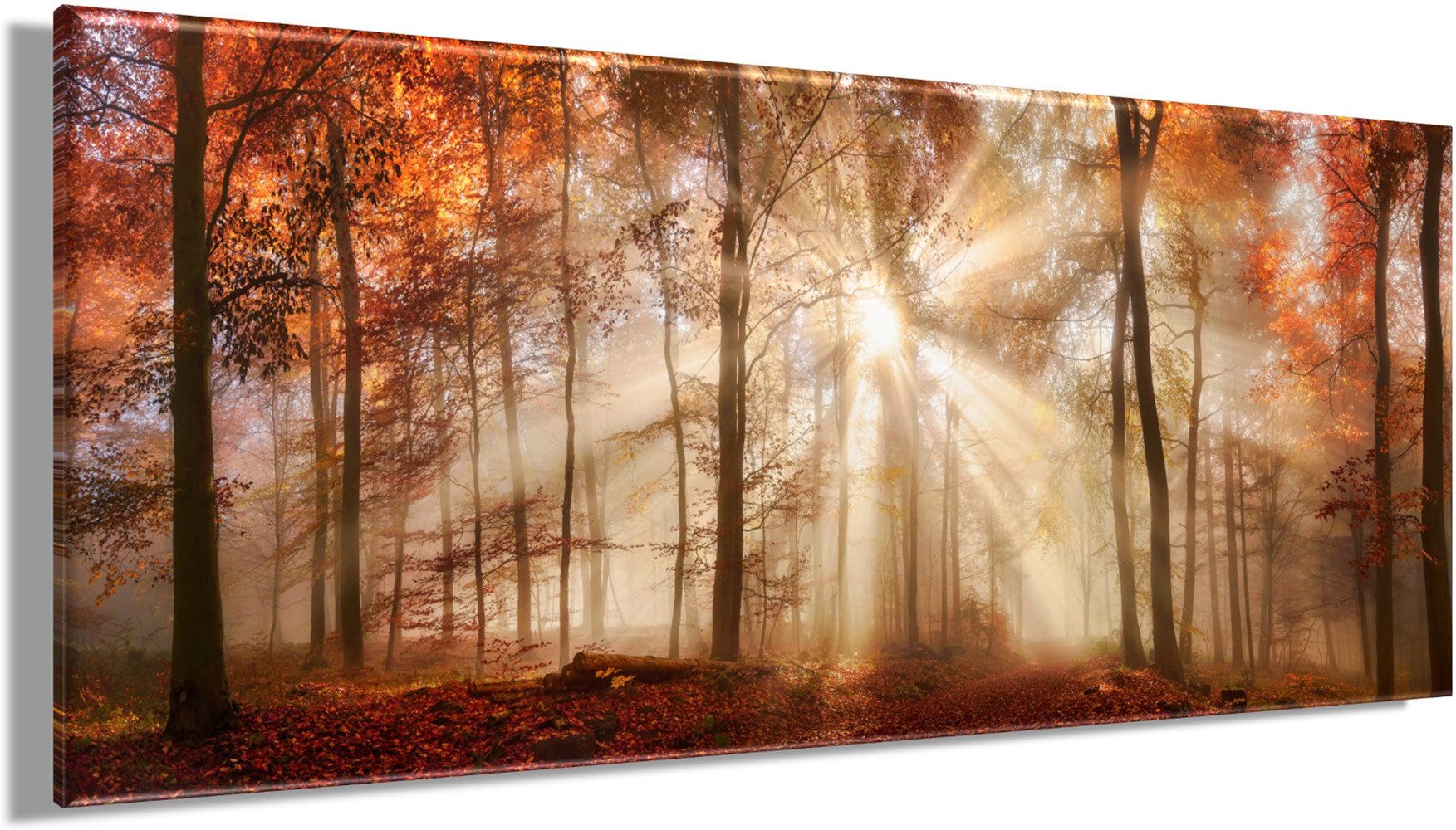 Bönninghoff Leinwandbild Wandbild HERBSTWALD XXL 60x140 cm – Leinwandbild Keilrahmen Deko, Wald (1 St), auf Keilrahmen gespannt – Bild 3 von 5