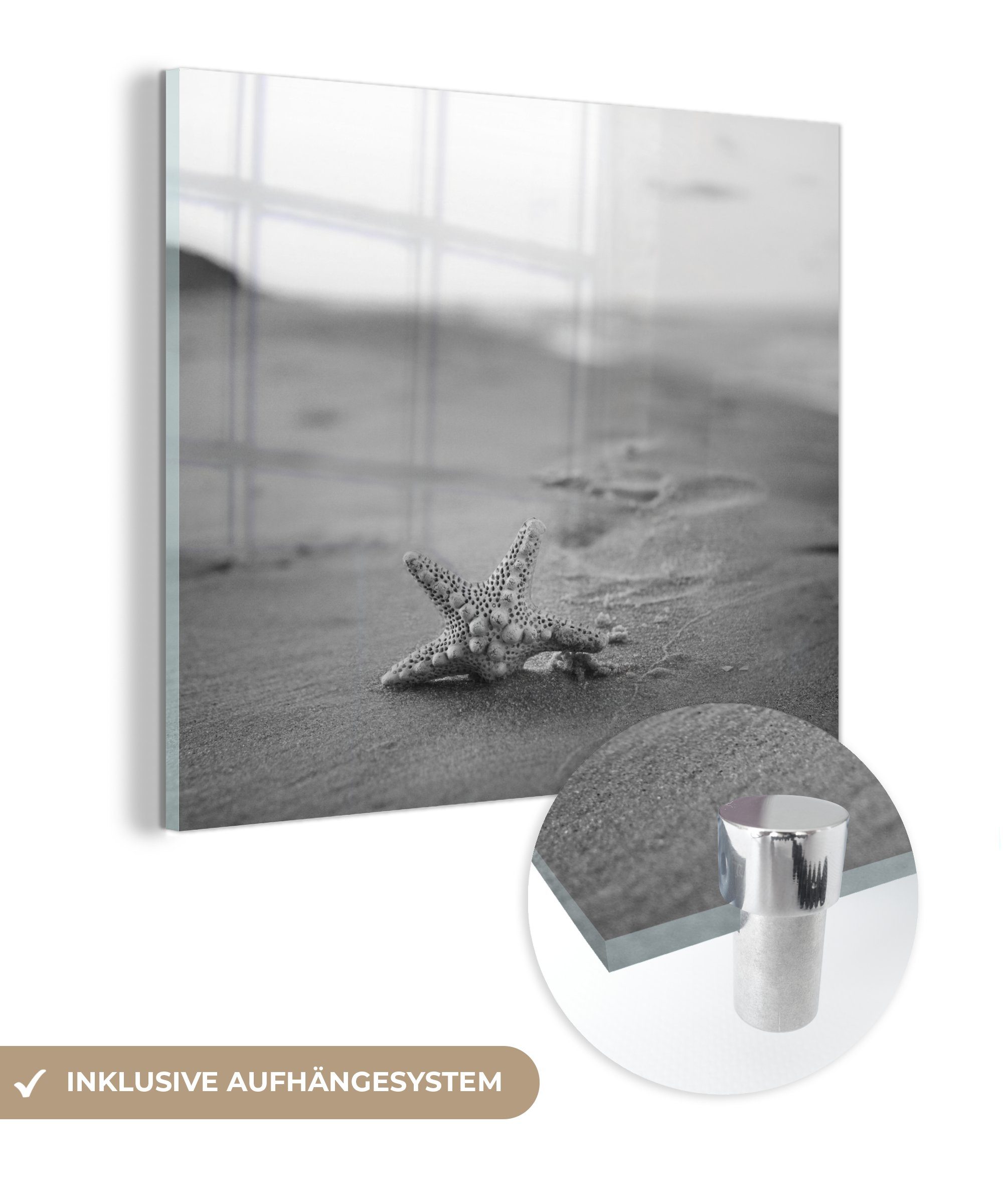 MuchoWow Acrylglasbild Nahaufnahme eines Seesterns am Strand - schwarz und weiß, (1 St), Glasbilder - Bilder auf Glas Wandbild - Foto auf Glas - Wanddekoration