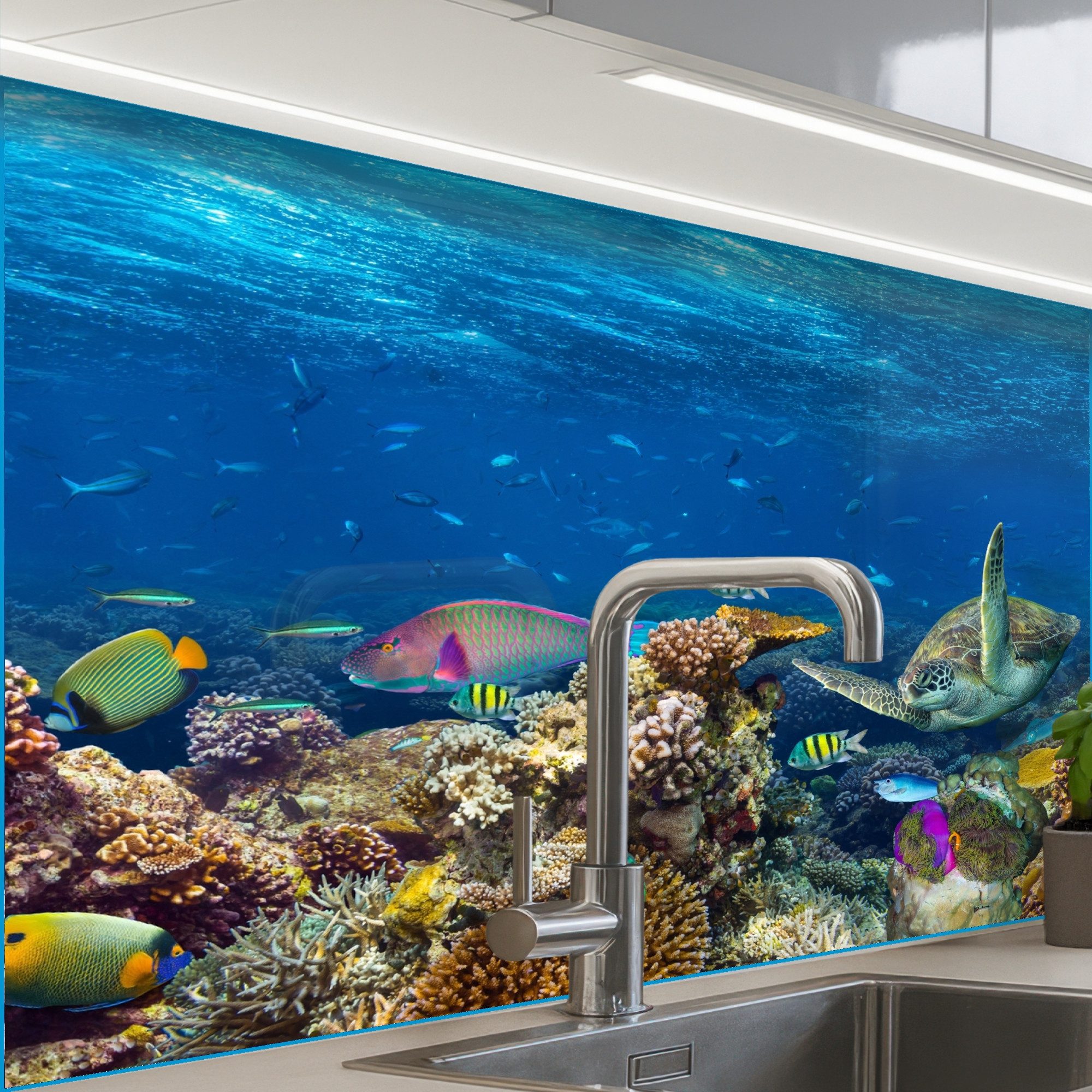 KitchenYeah Küchenrückwand selbstklebend Unterwasserlandschaft - Fisch - Sc günstig online kaufen