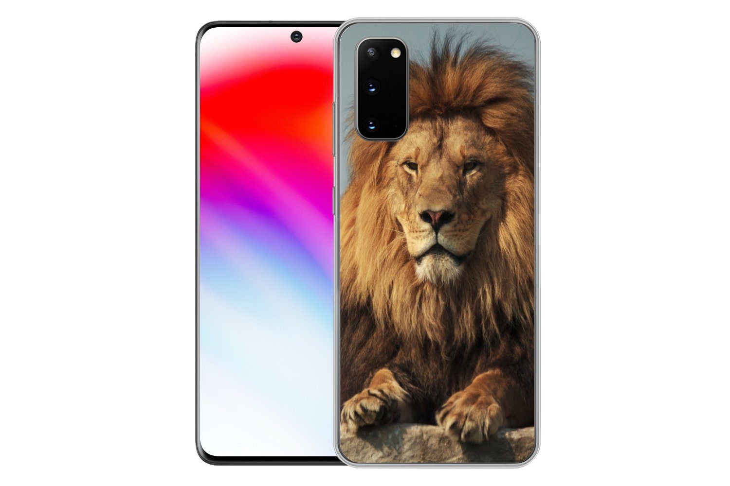 MuchoWow Handyhülle für Samsung Galaxy S20 Löwe - Felsen - Porträt, Phone Case, Silikon, Schutzhülle Dünn