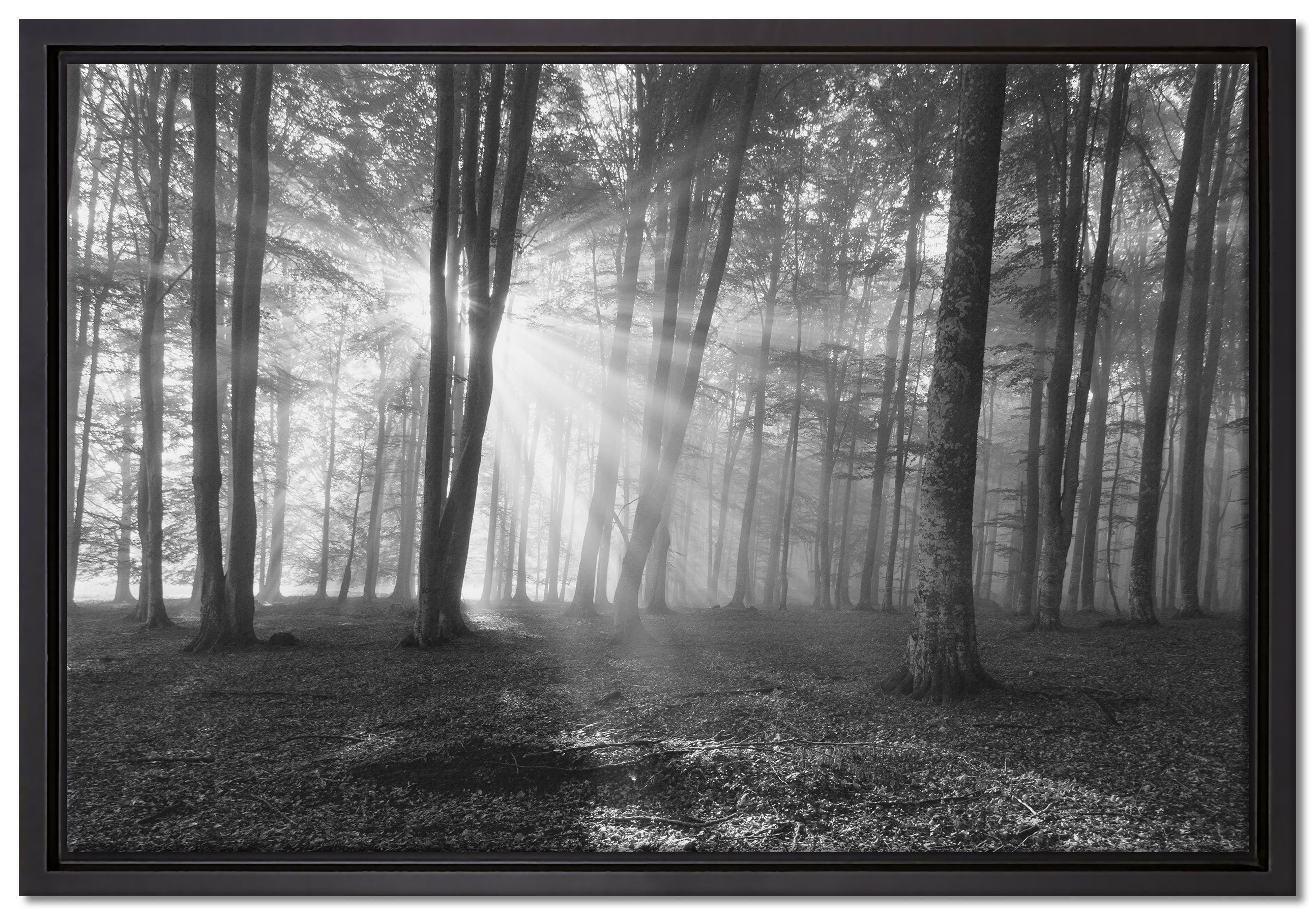 Pixxprint Leinwandbild Wald mit Sonnenstrahlen, Wanddekoration (1 St), Leinwandbild fertig bespannt, in einem Schattenfugen-Bilderrahmen gefasst, inkl. Zackenaufhänger