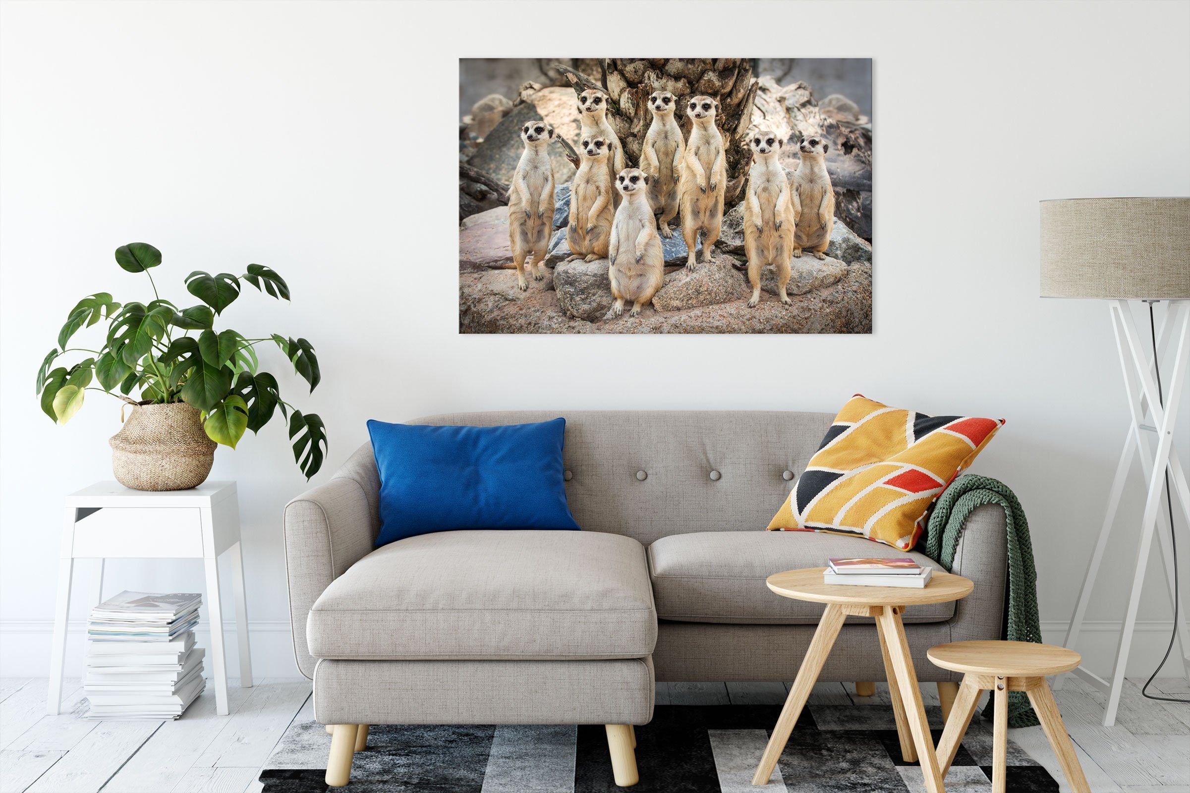 Pixxprint Leinwandbild Lustige Erdmännchen, Lustige Erdmännchen günstig online kaufen